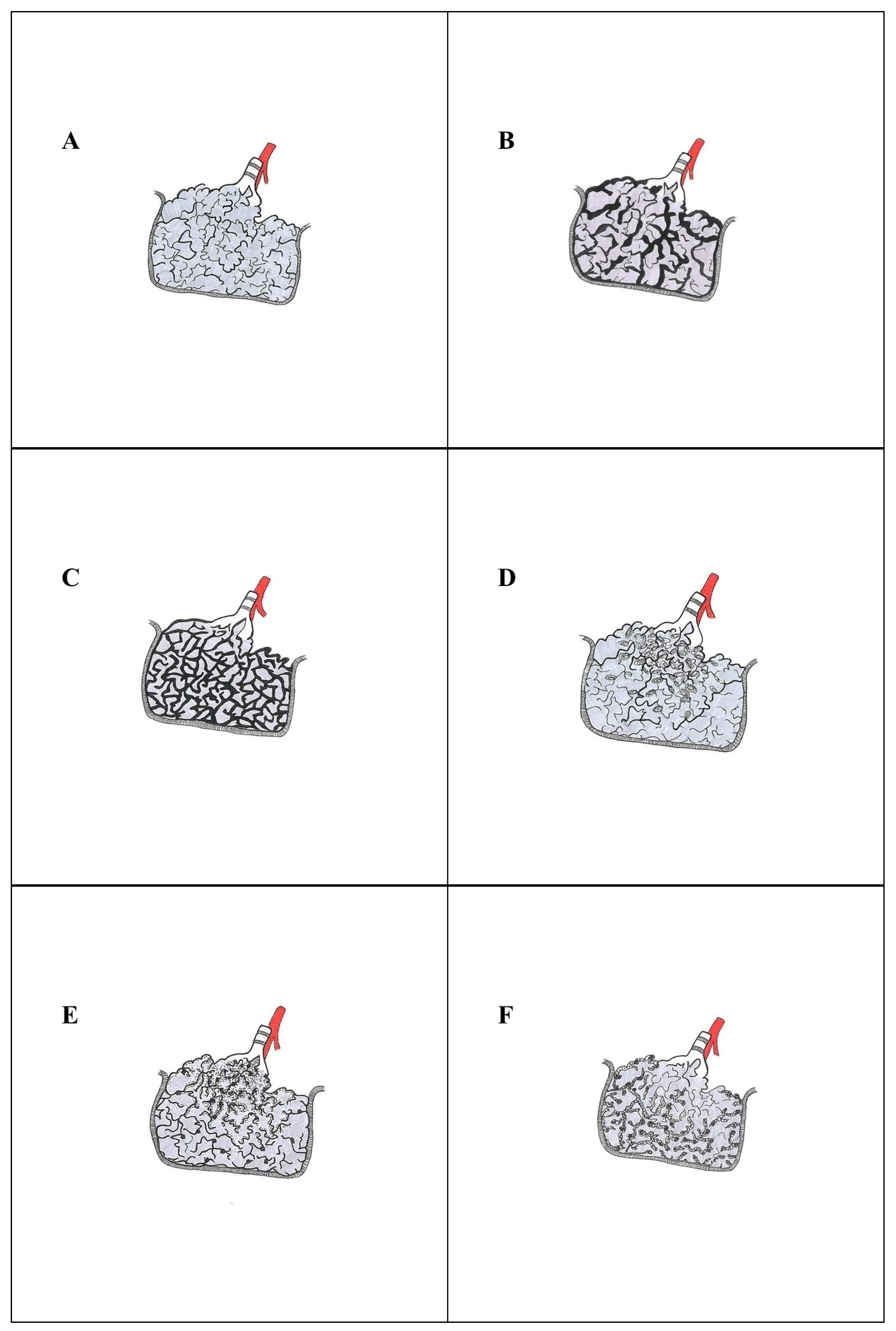 Ijms 25 03618 g002 Ijms 25 03618 g002