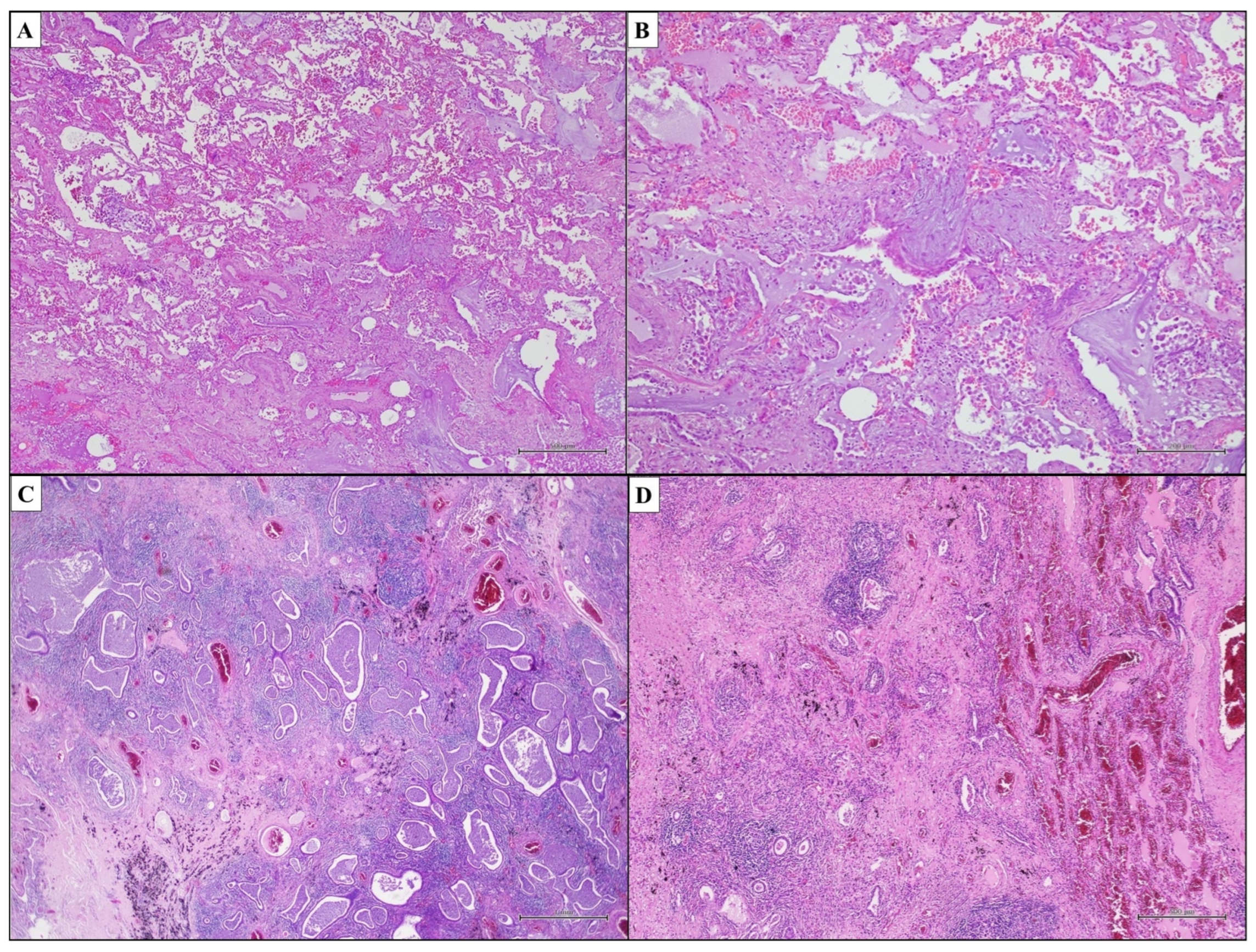 Ijms 25 03618 g003 Ijms 25 03618 g003