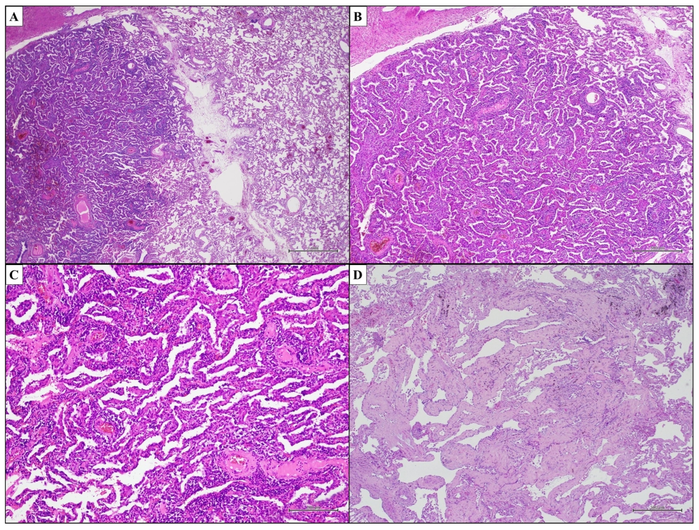 Ijms 25 03618 g004 Ijms 25 03618 g004