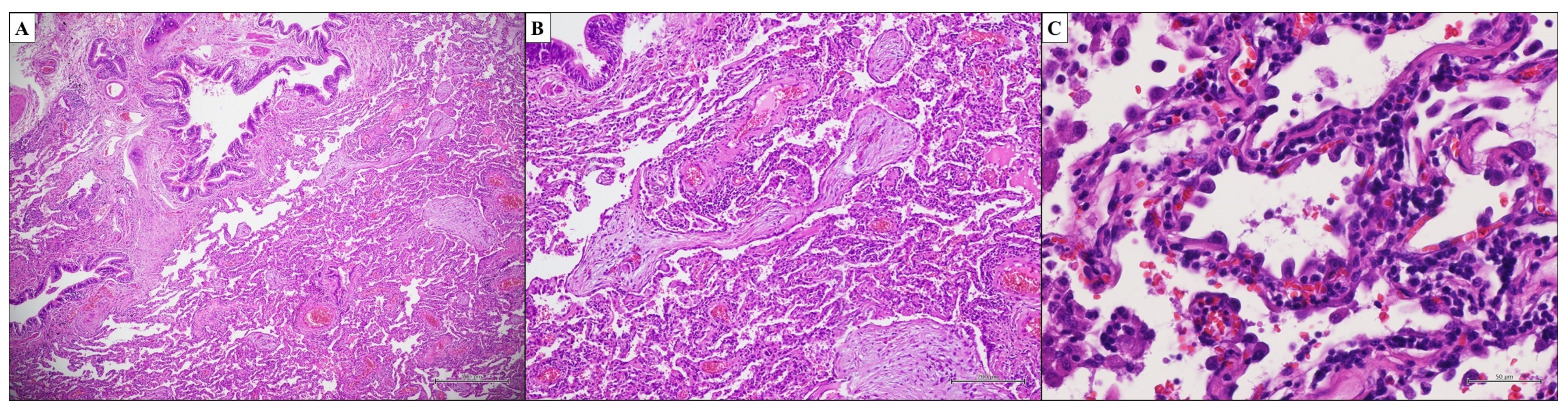 Ijms 25 03618 g005 Ijms 25 03618 g005