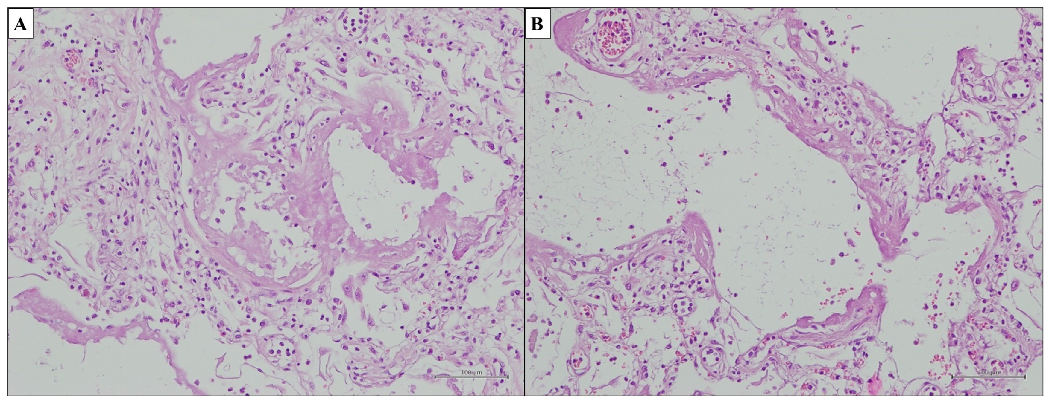 Ijms 25 03618 g006 Ijms 25 03618 g006