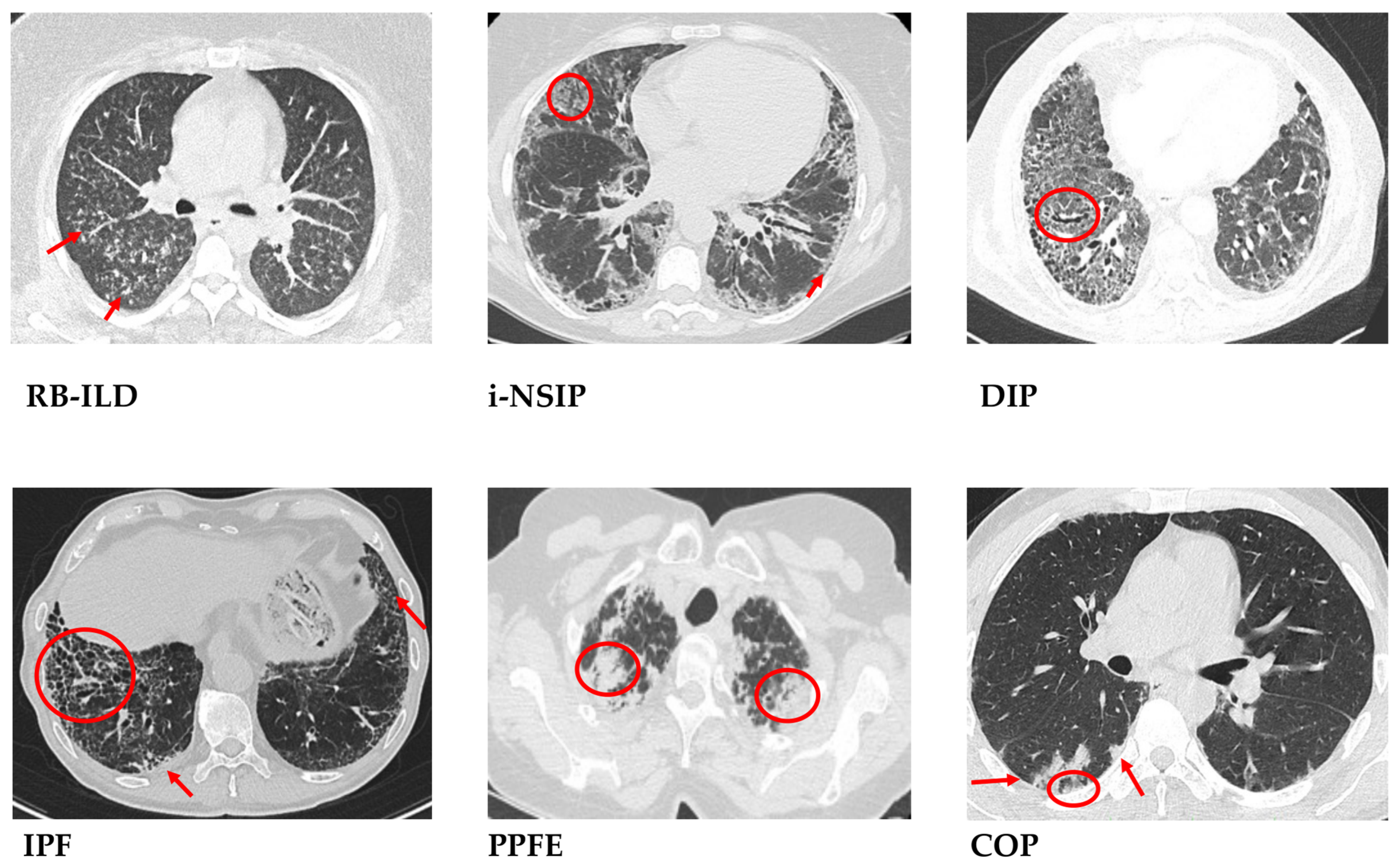 Ijms 25 03618 g008 Ijms 25 03618 g008
