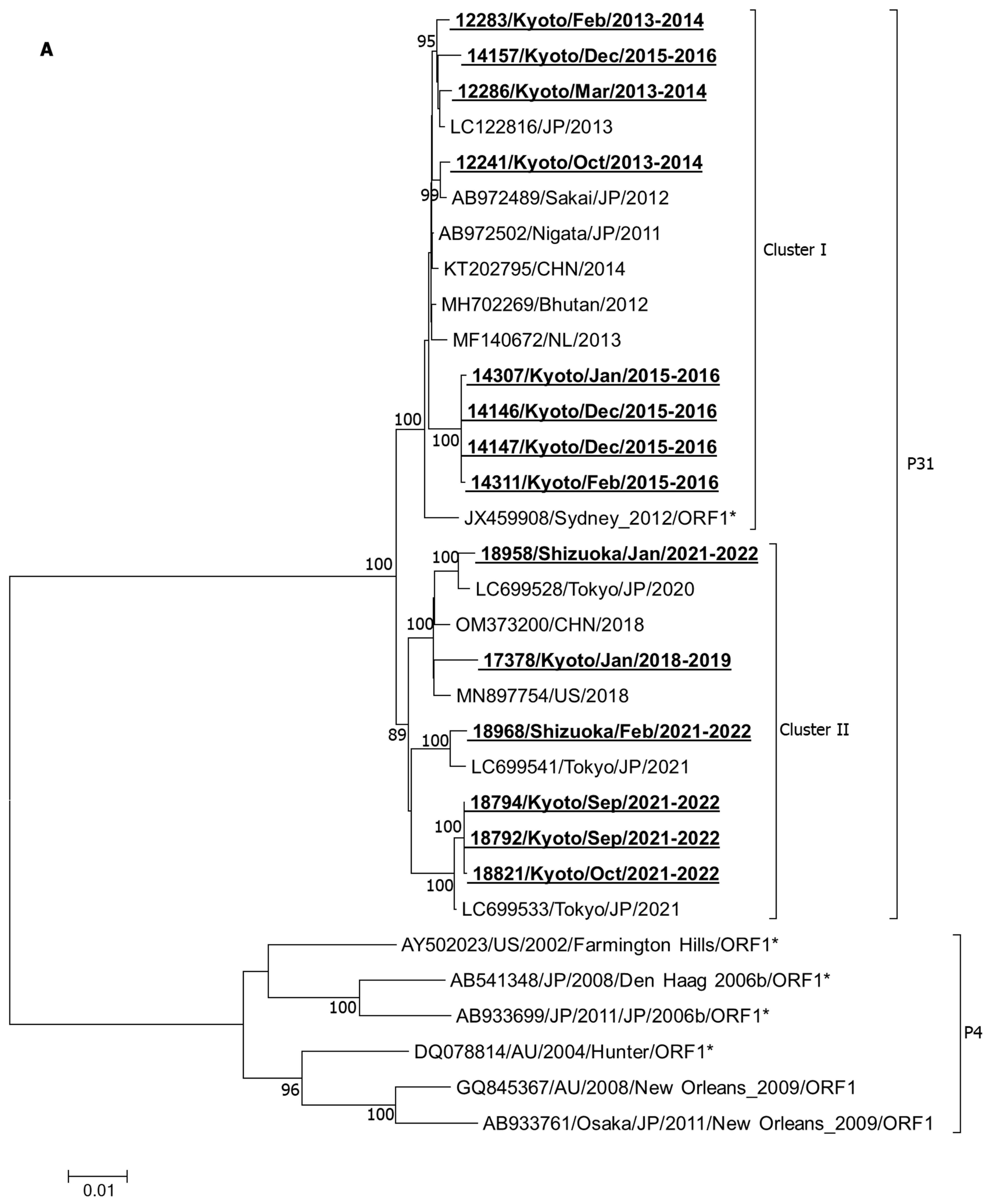 Ijms 25 03619 g001a