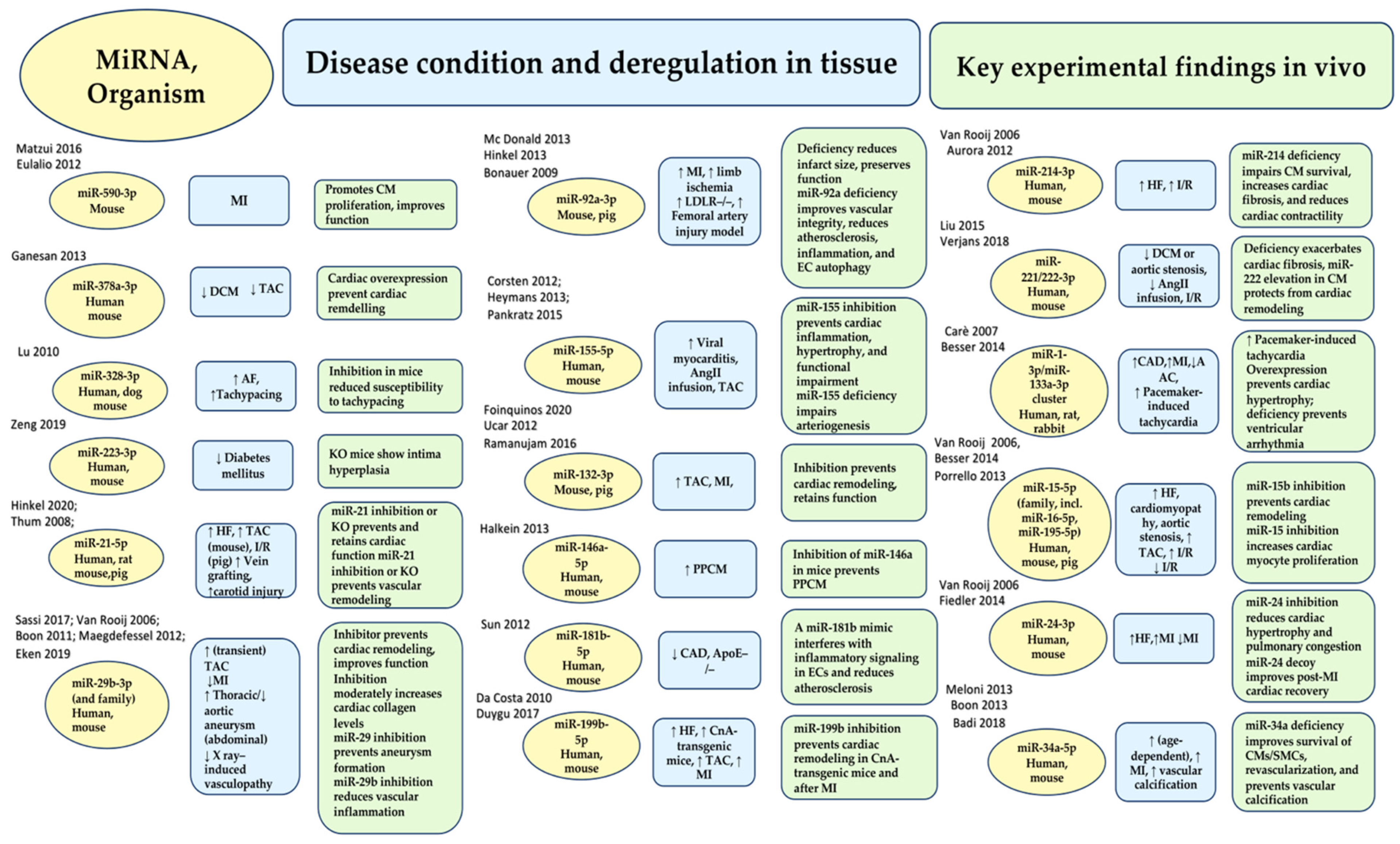 Non-Coding RNA-Targeted Therapy: A State-of-the-Art Review