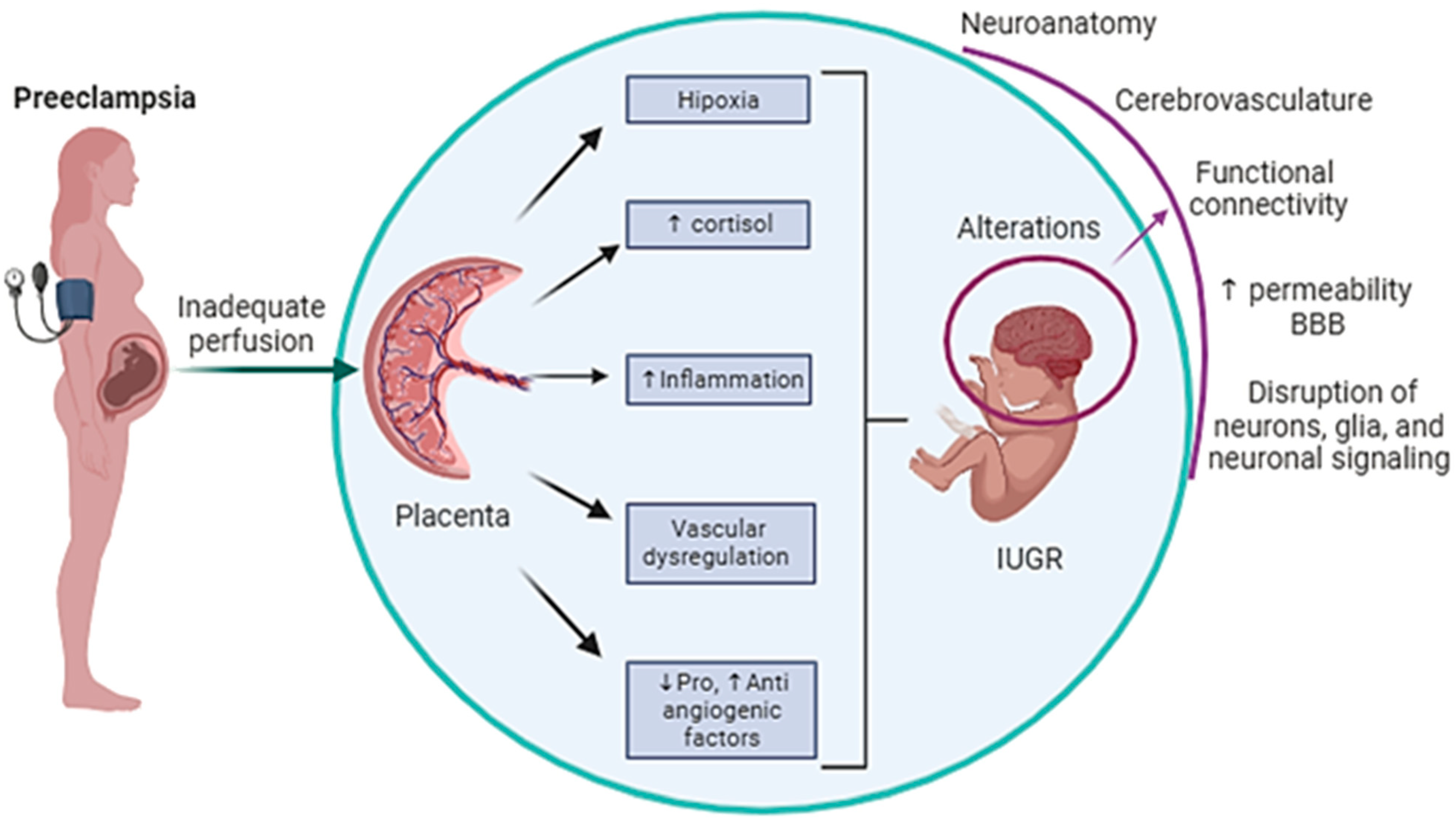 Ijms 25 03632 g001 Ijms 25 03632 g001