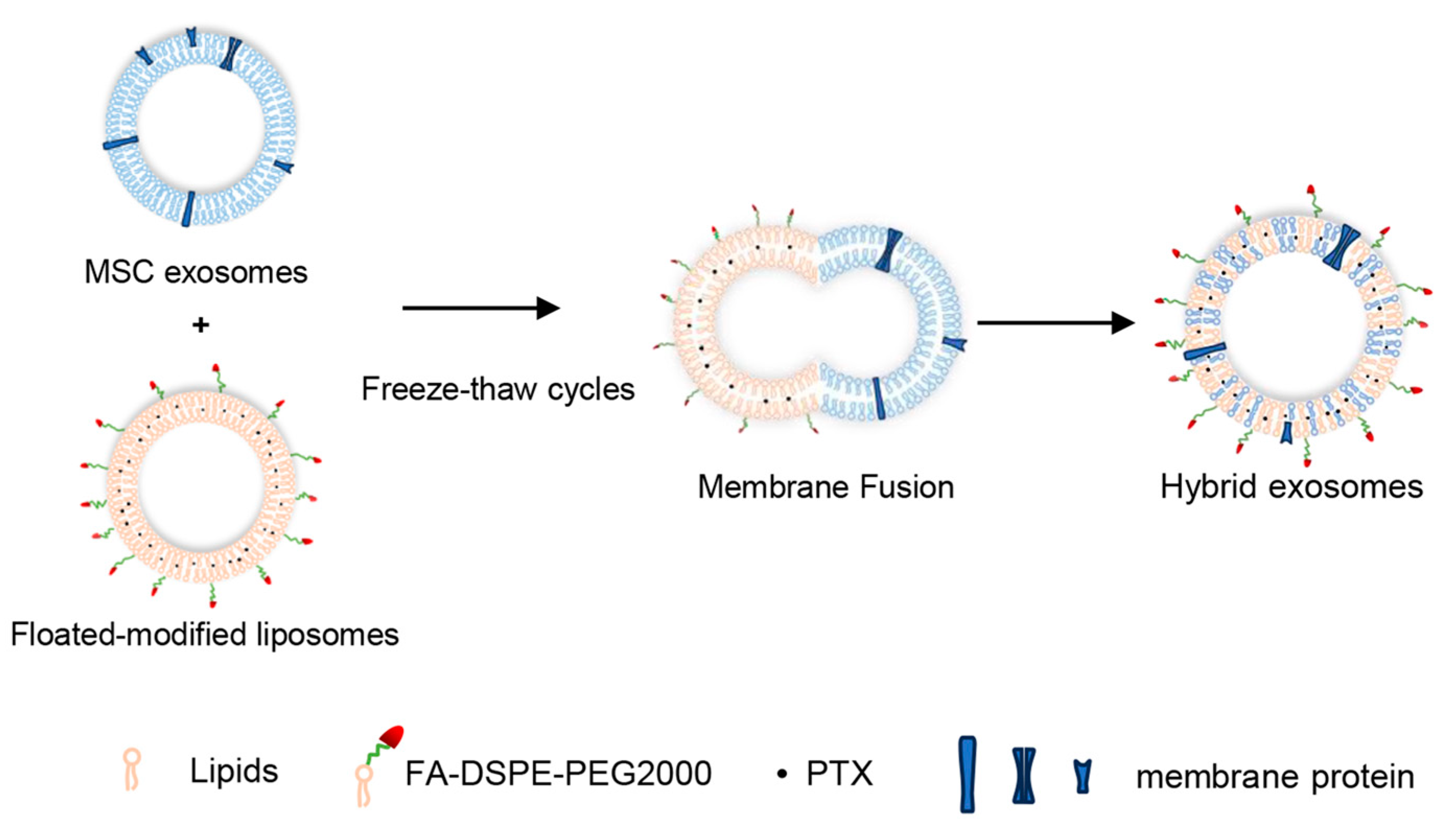 Ijms 25 03645 sch001