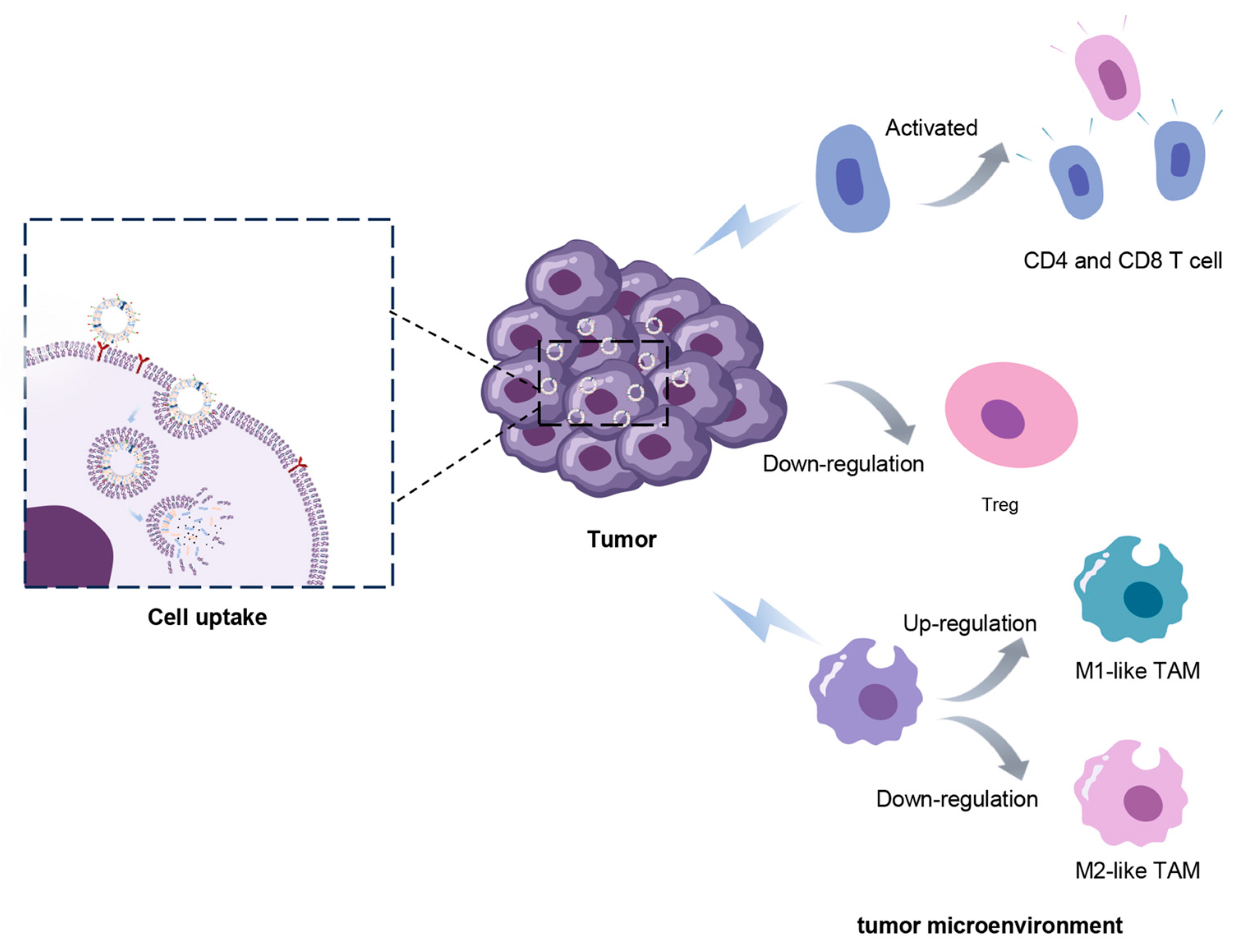Ijms 25 03645 sch002