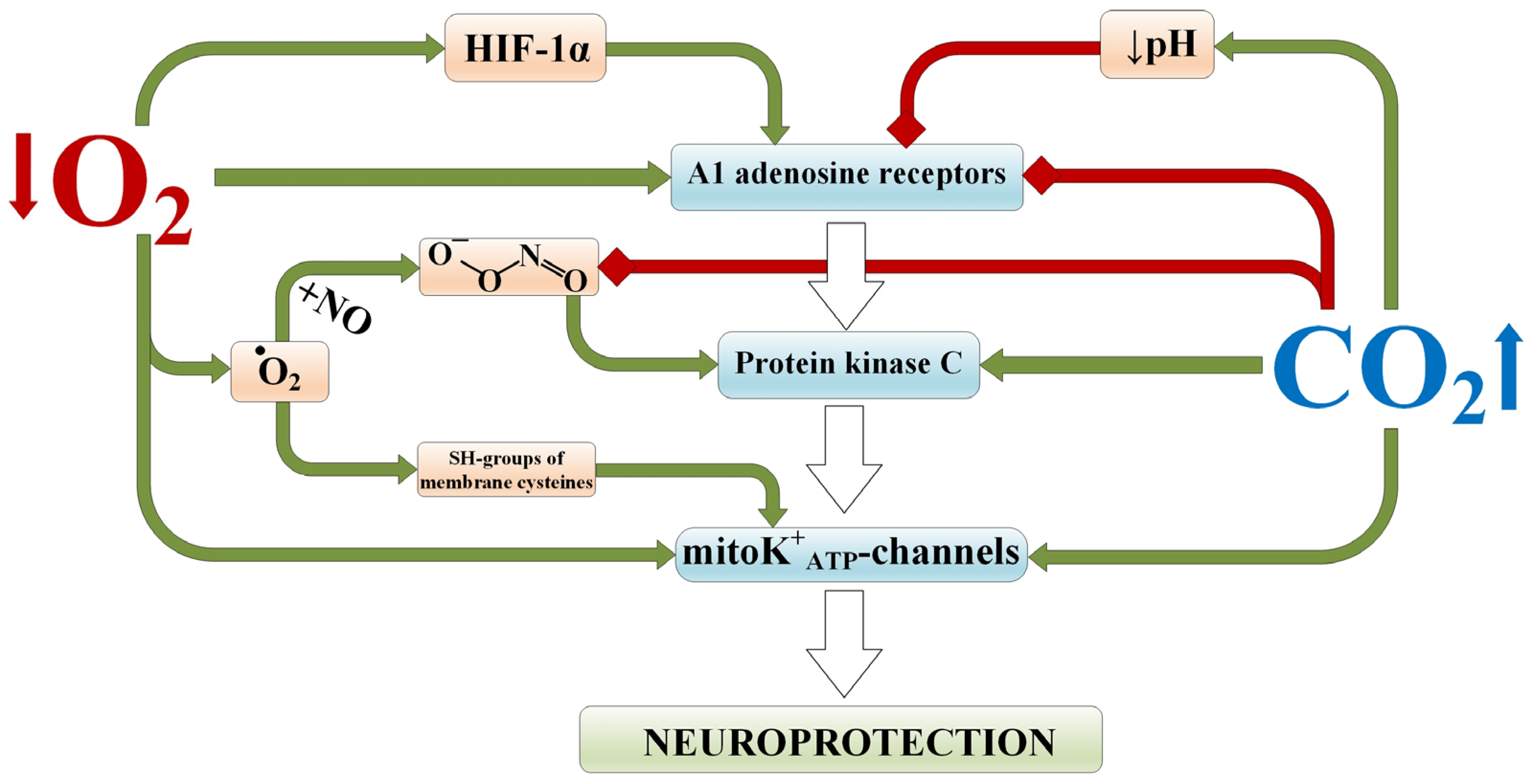 Ijms 25 03665 g001 Ijms 25 03665 g001