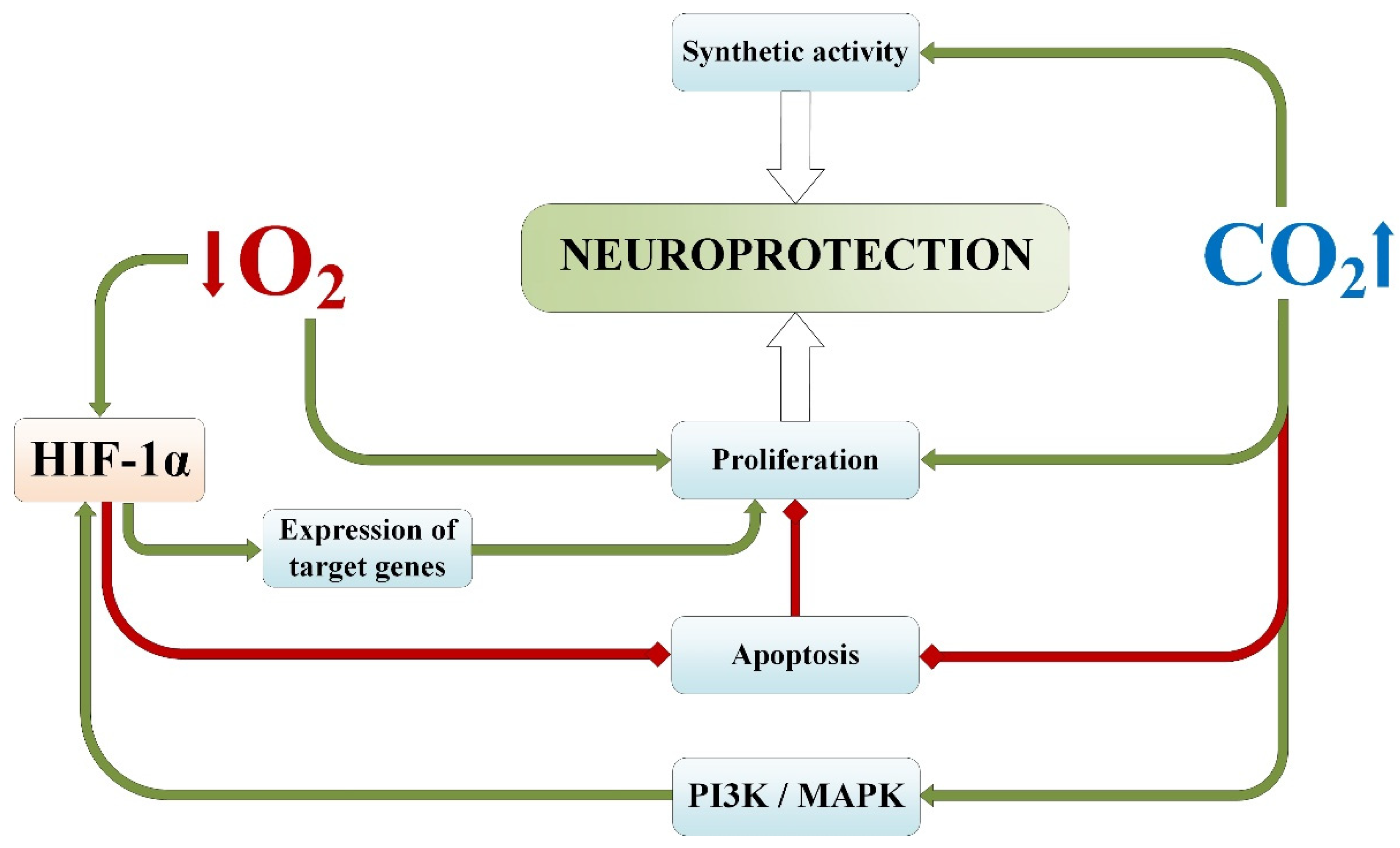 Ijms 25 03665 g004 Ijms 25 03665 g004