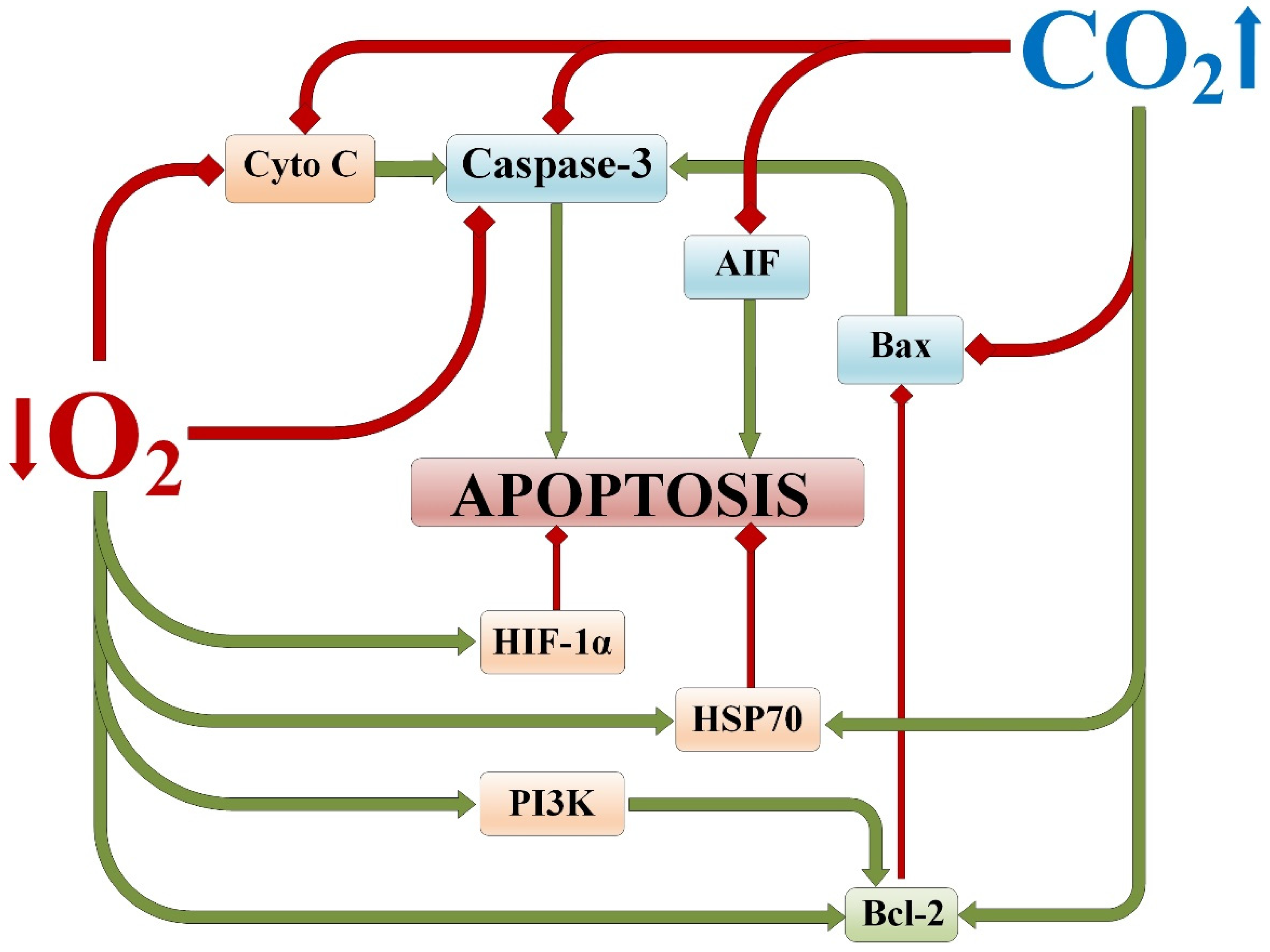 Ijms 25 03665 g005 Ijms 25 03665 g005