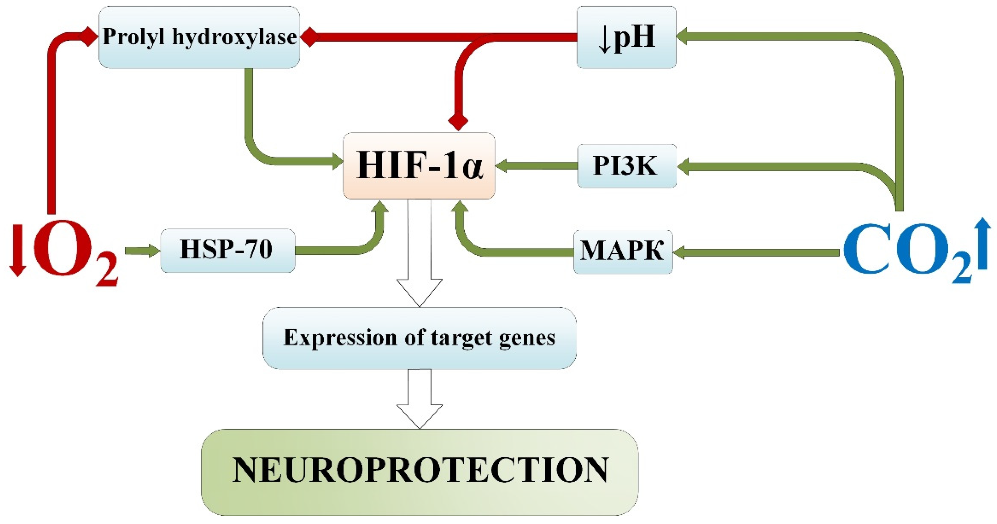 Ijms 25 03665 g007 Ijms 25 03665 g007