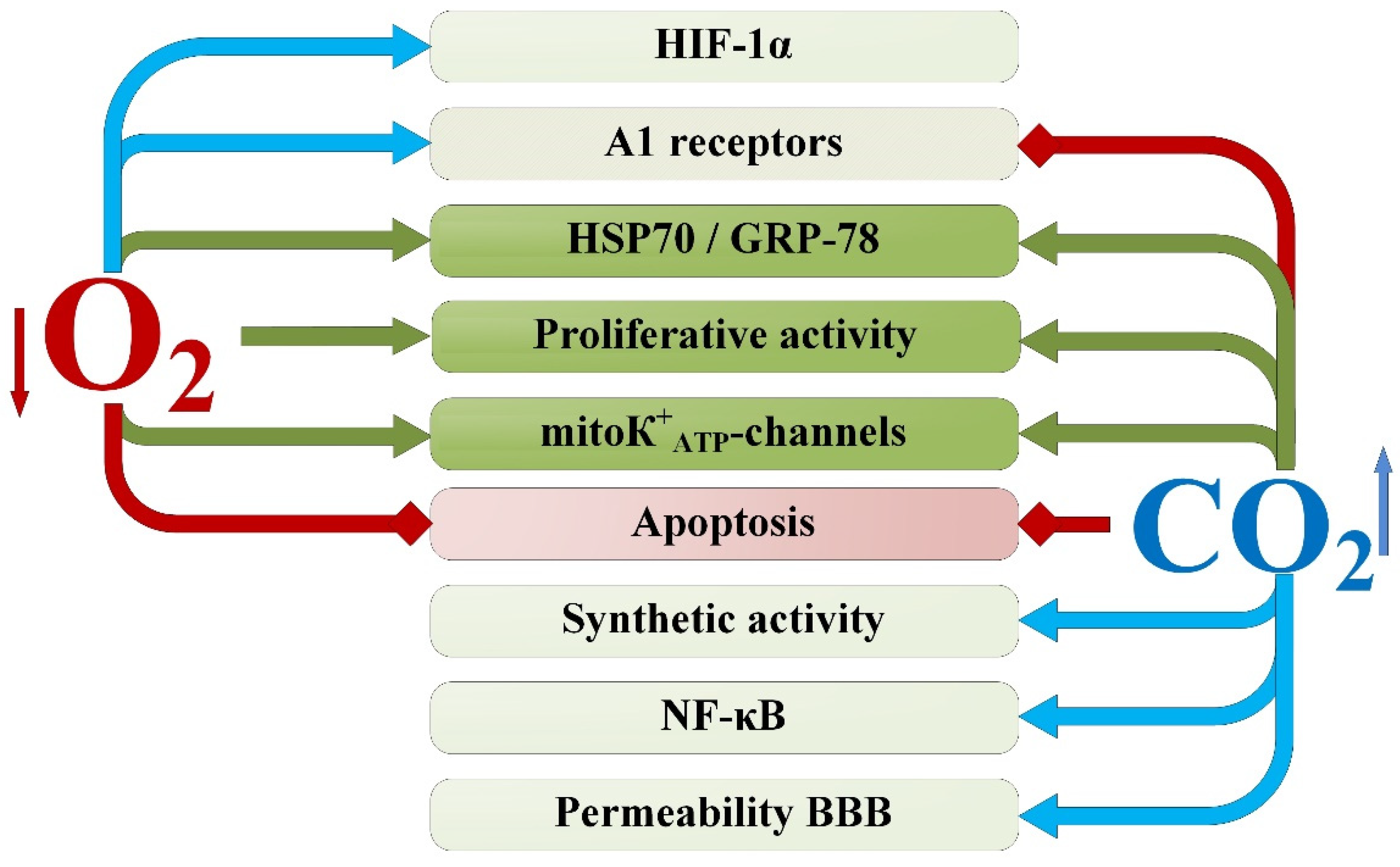 Ijms 25 03665 g008 Ijms 25 03665 g008