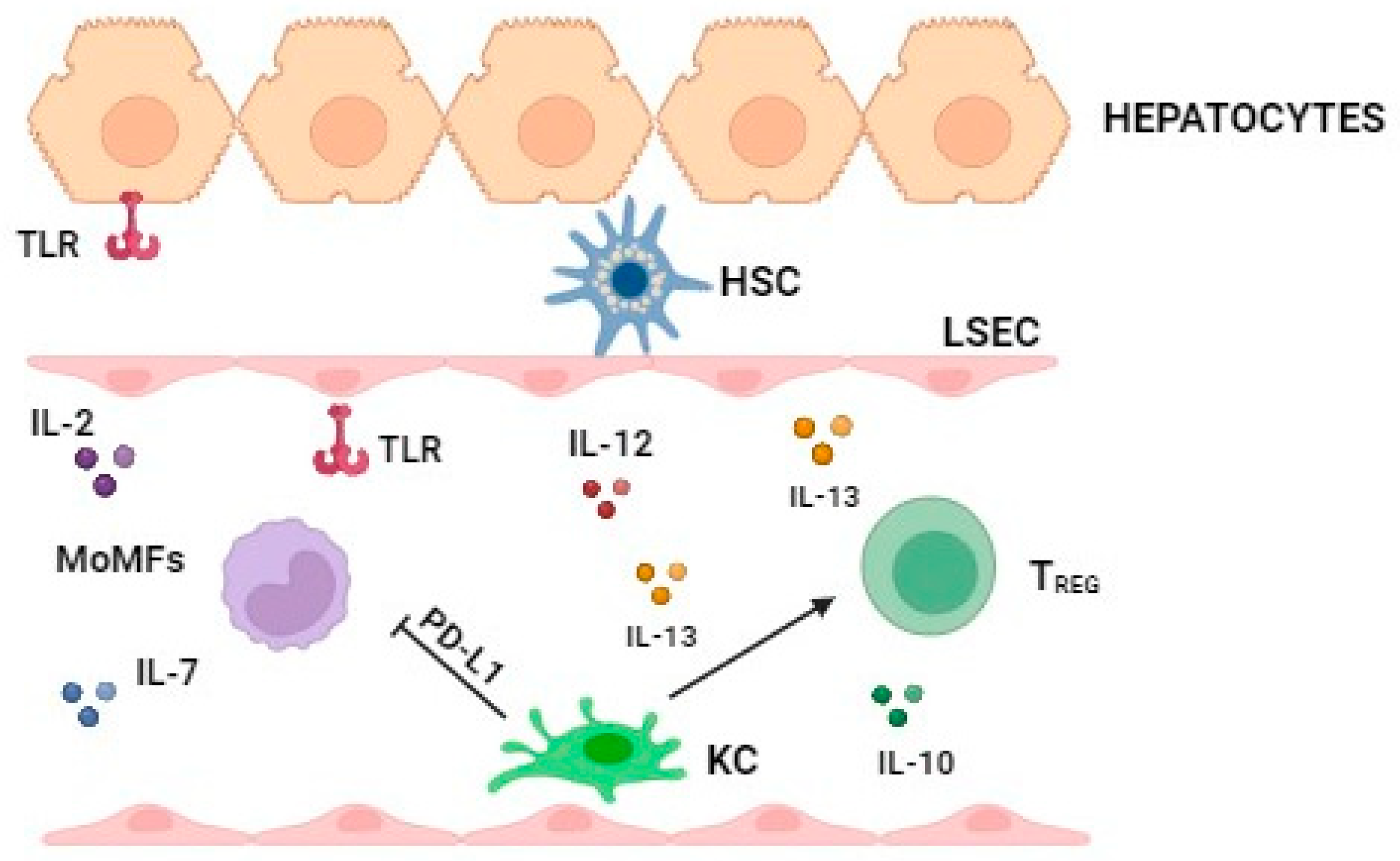 Ijms 25 03671 g001 Ijms 25 03671 g001