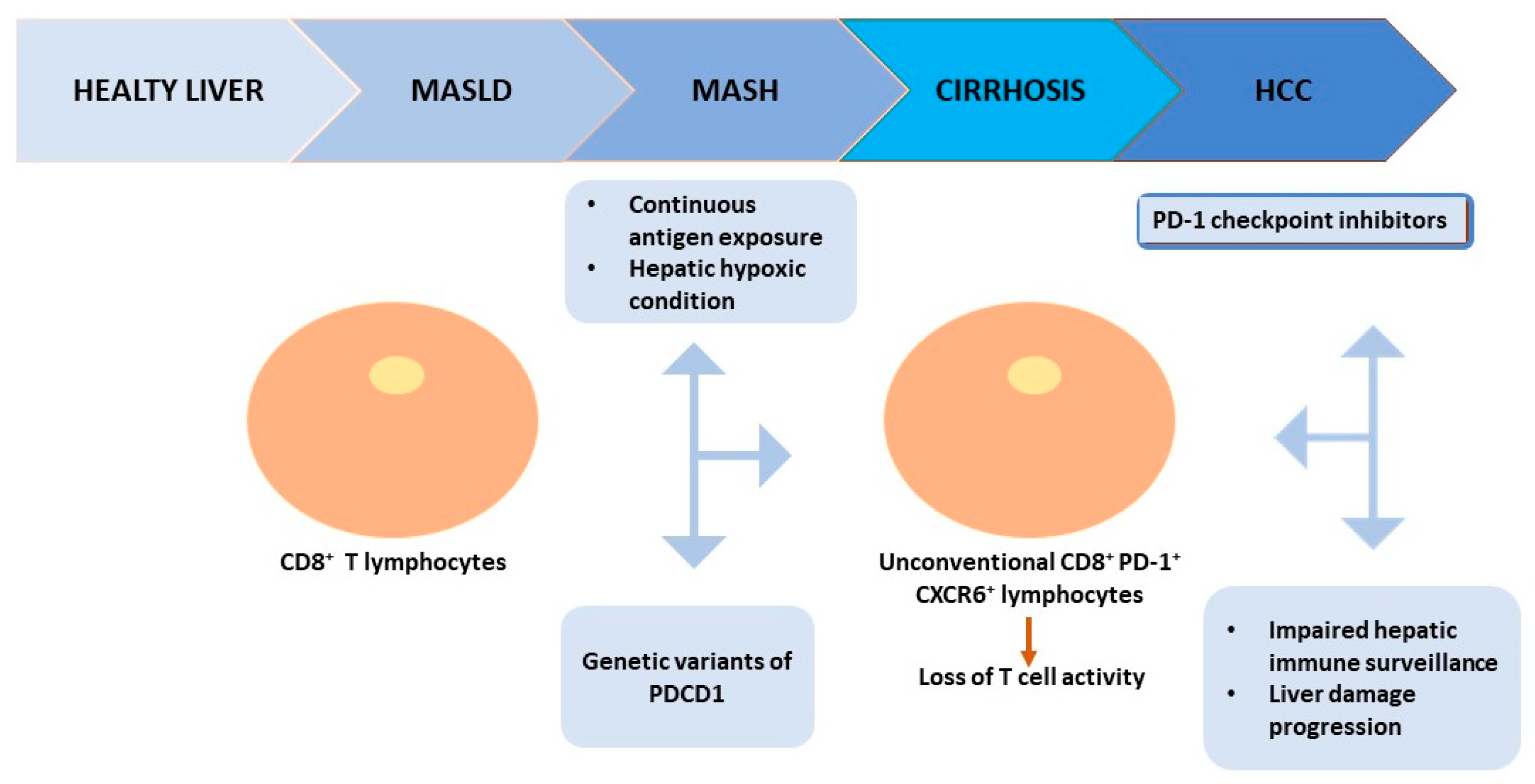 Ijms 25 03671 g005 Ijms 25 03671 g005