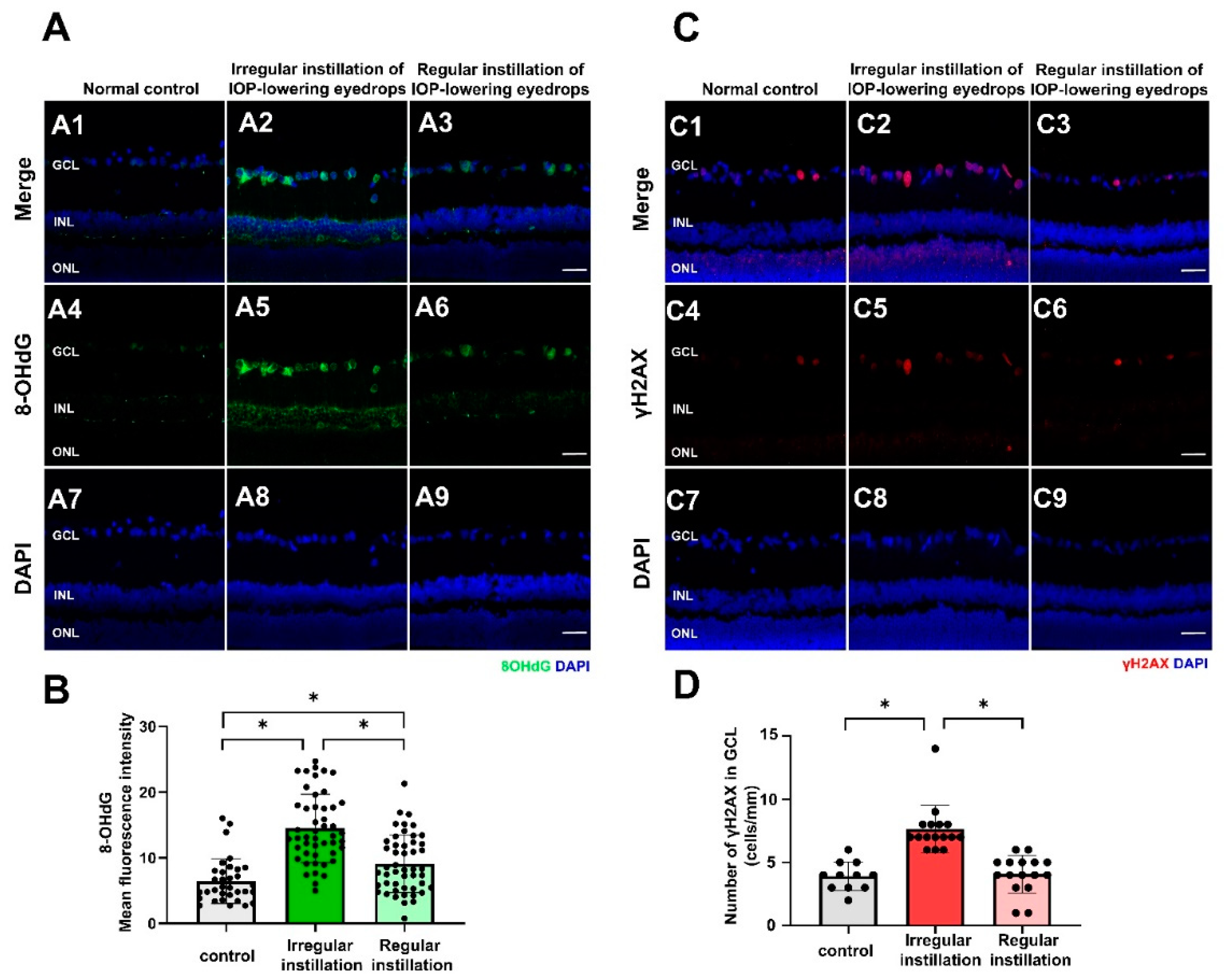 Ijms 25 03689 g003 Ijms 25 03689 g003