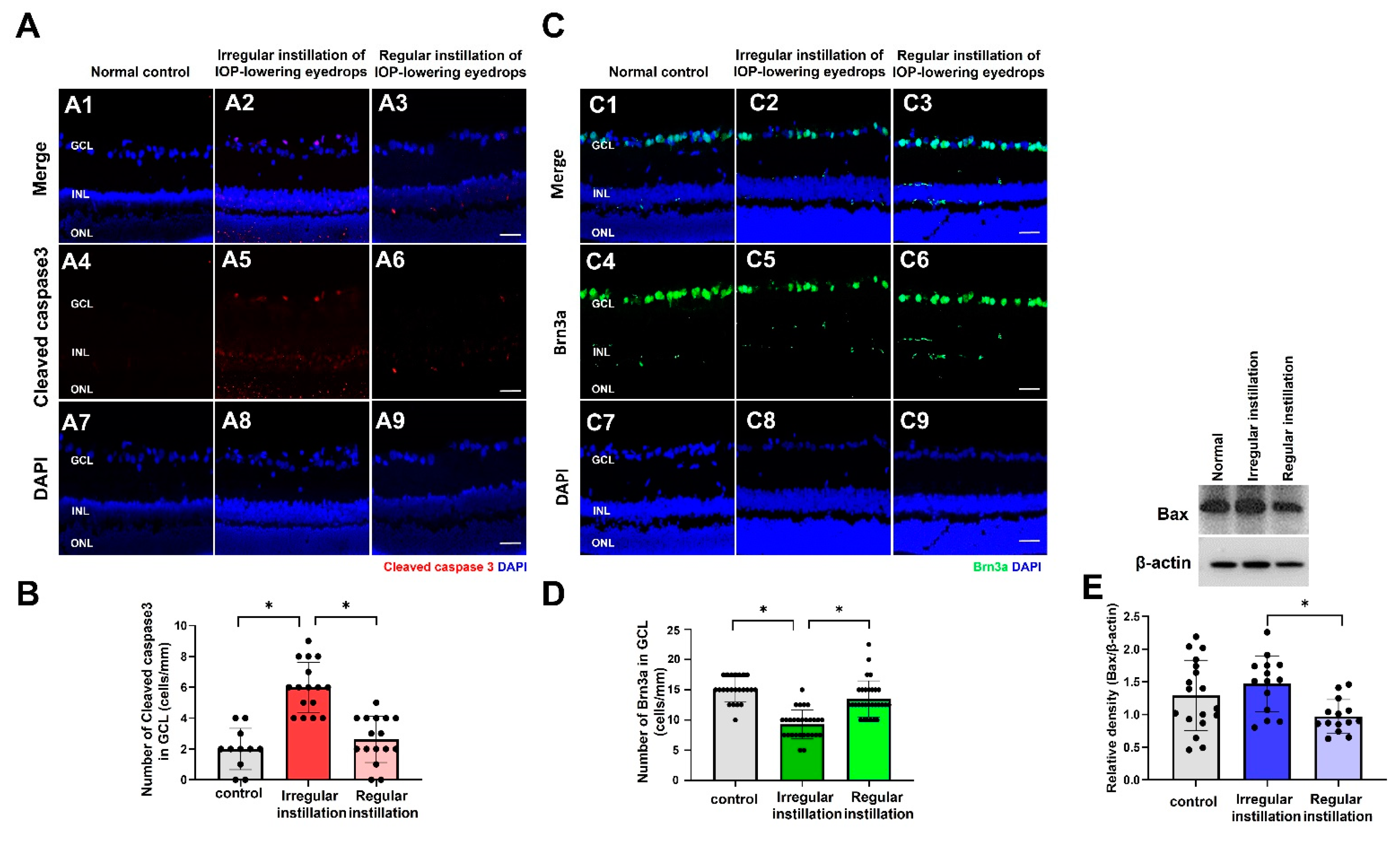 Ijms 25 03689 g007 Ijms 25 03689 g007