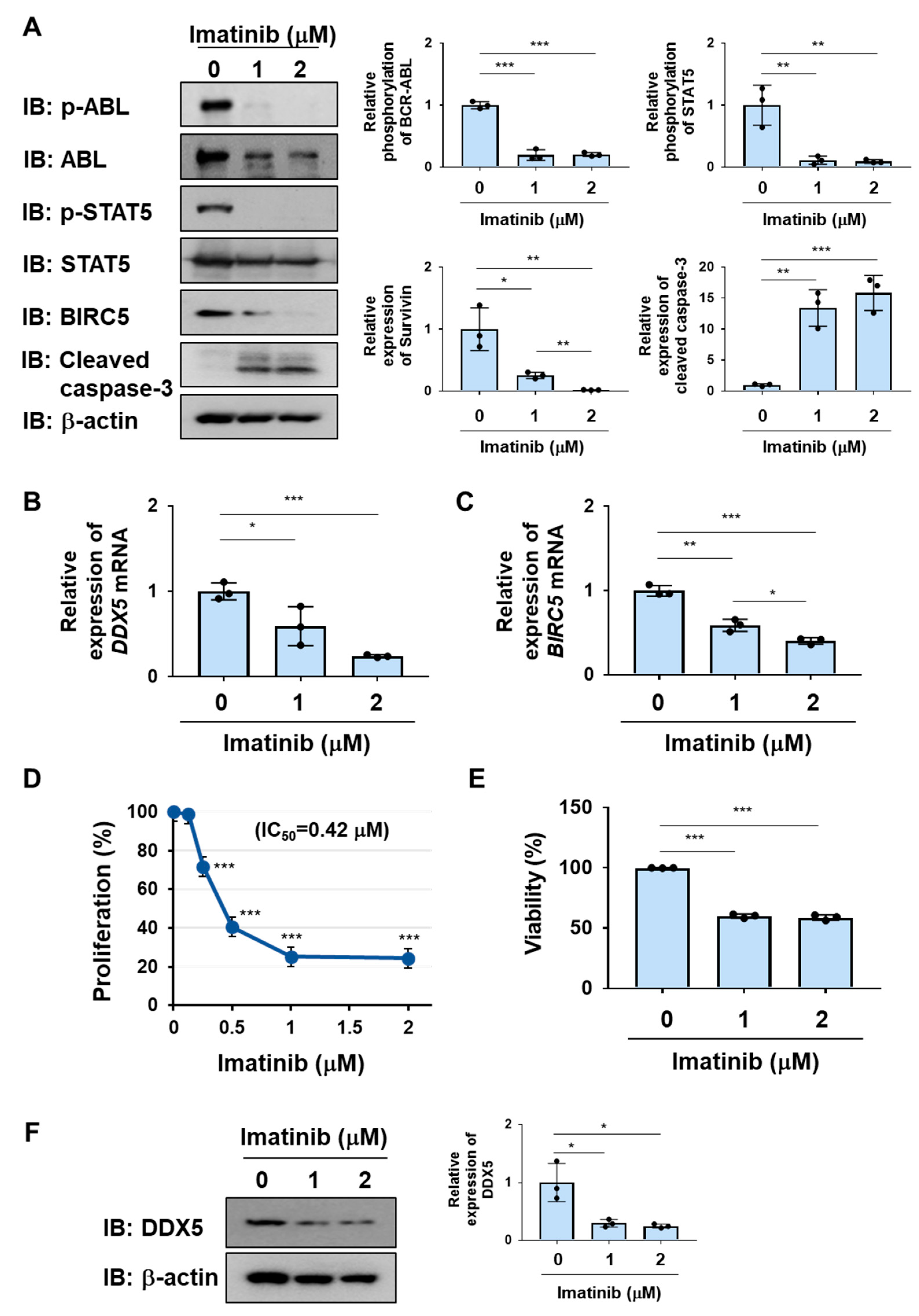 Ijms 25 03693 g001 Ijms 25 03693 g001