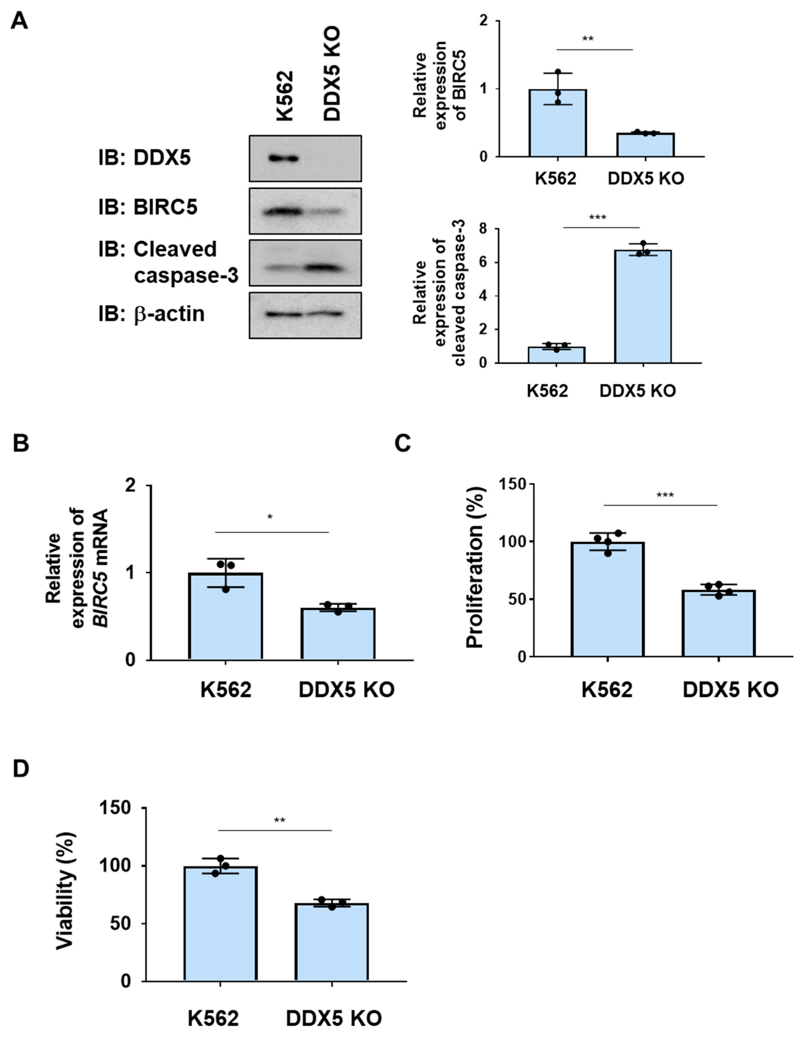 Ijms 25 03693 g002 Ijms 25 03693 g002
