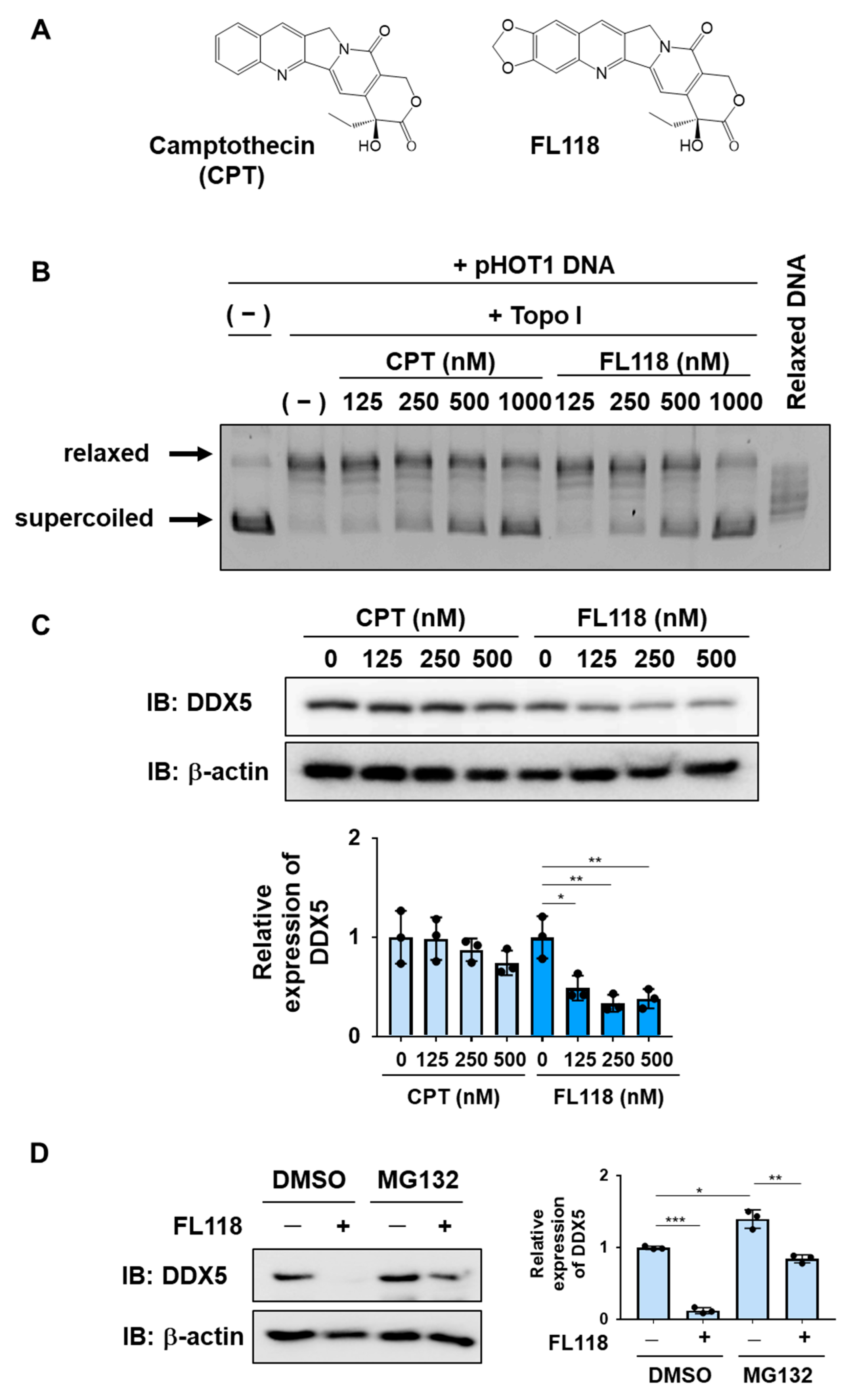 Ijms 25 03693 g003 Ijms 25 03693 g003
