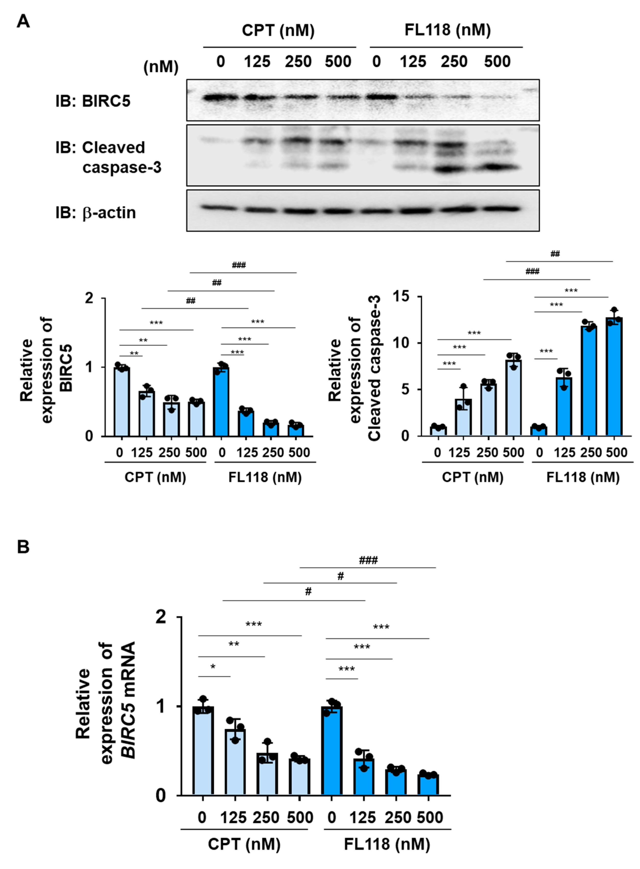Ijms 25 03693 g004 Ijms 25 03693 g004