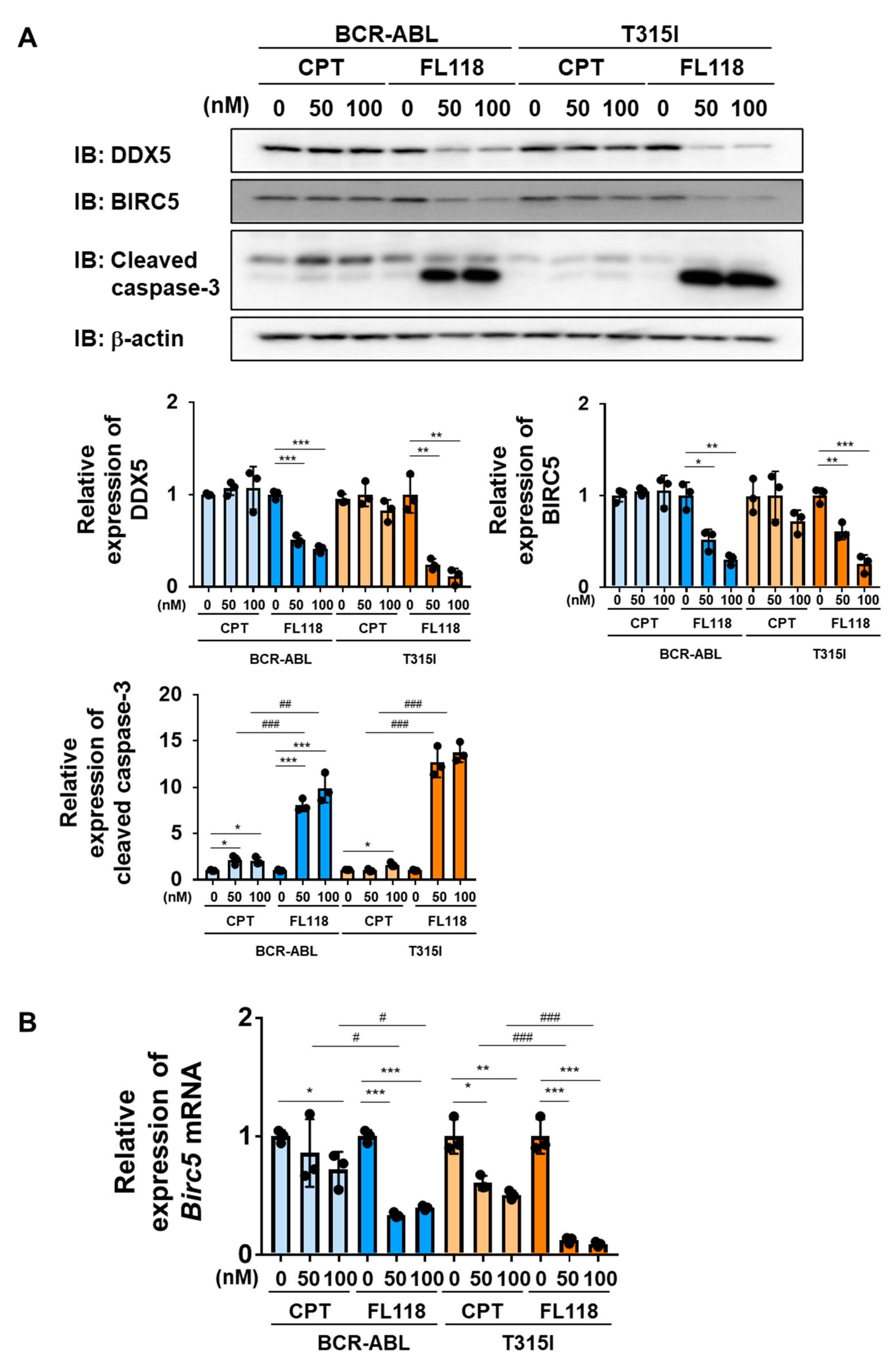 Ijms 25 03693 g008 Ijms 25 03693 g008