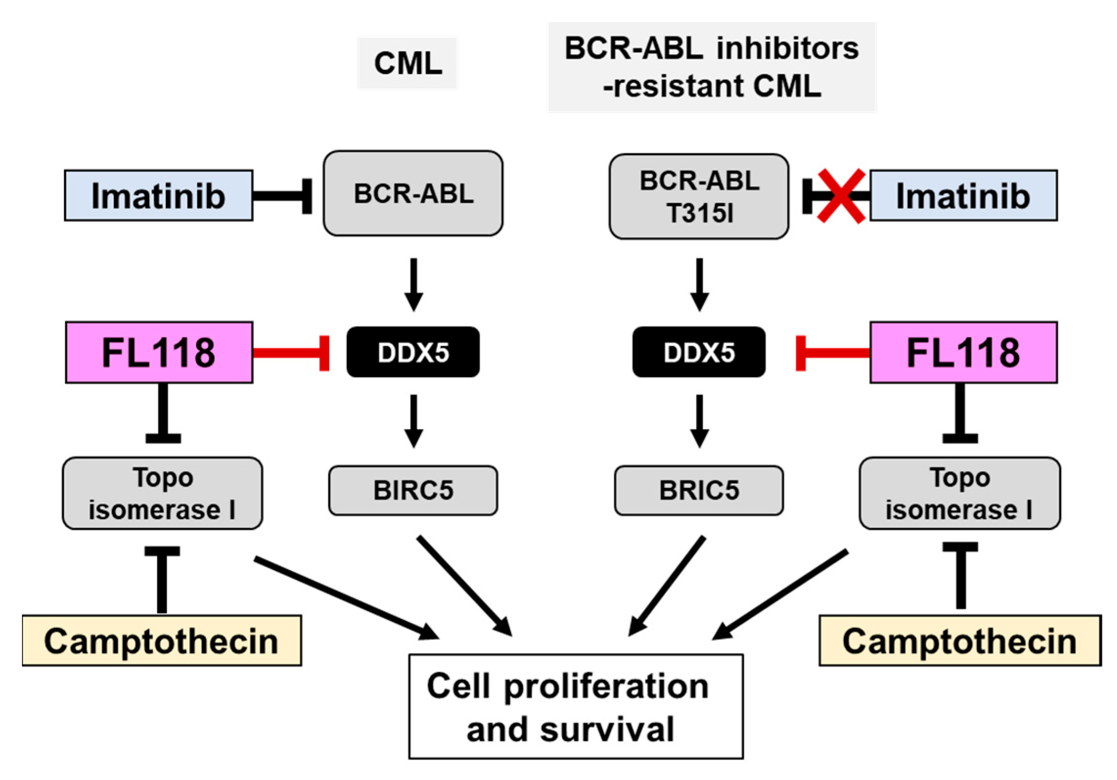 Ijms 25 03693 g010 Ijms 25 03693 g010