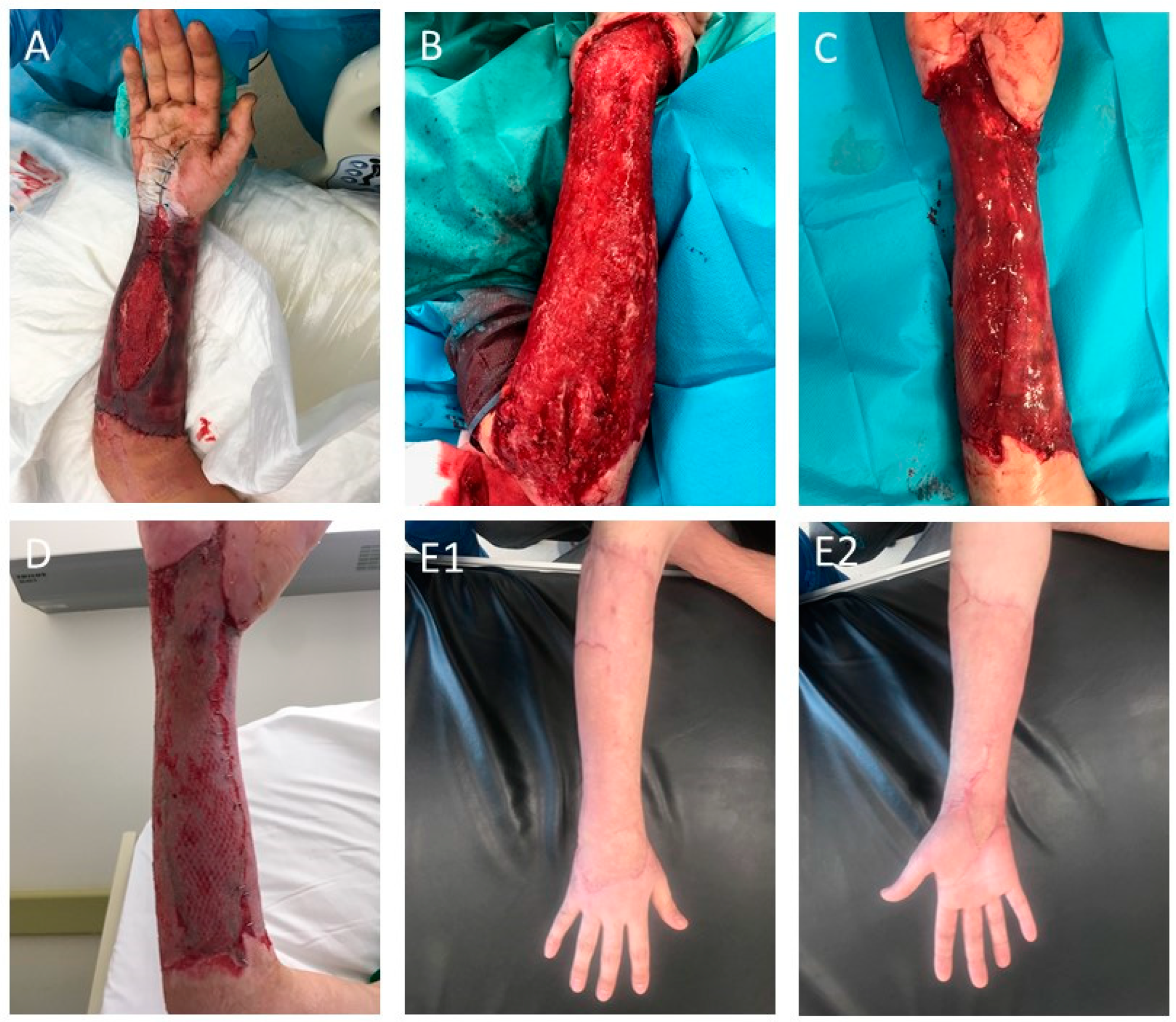 Ijms 25 03702 g003 Ijms 25 03702 g003