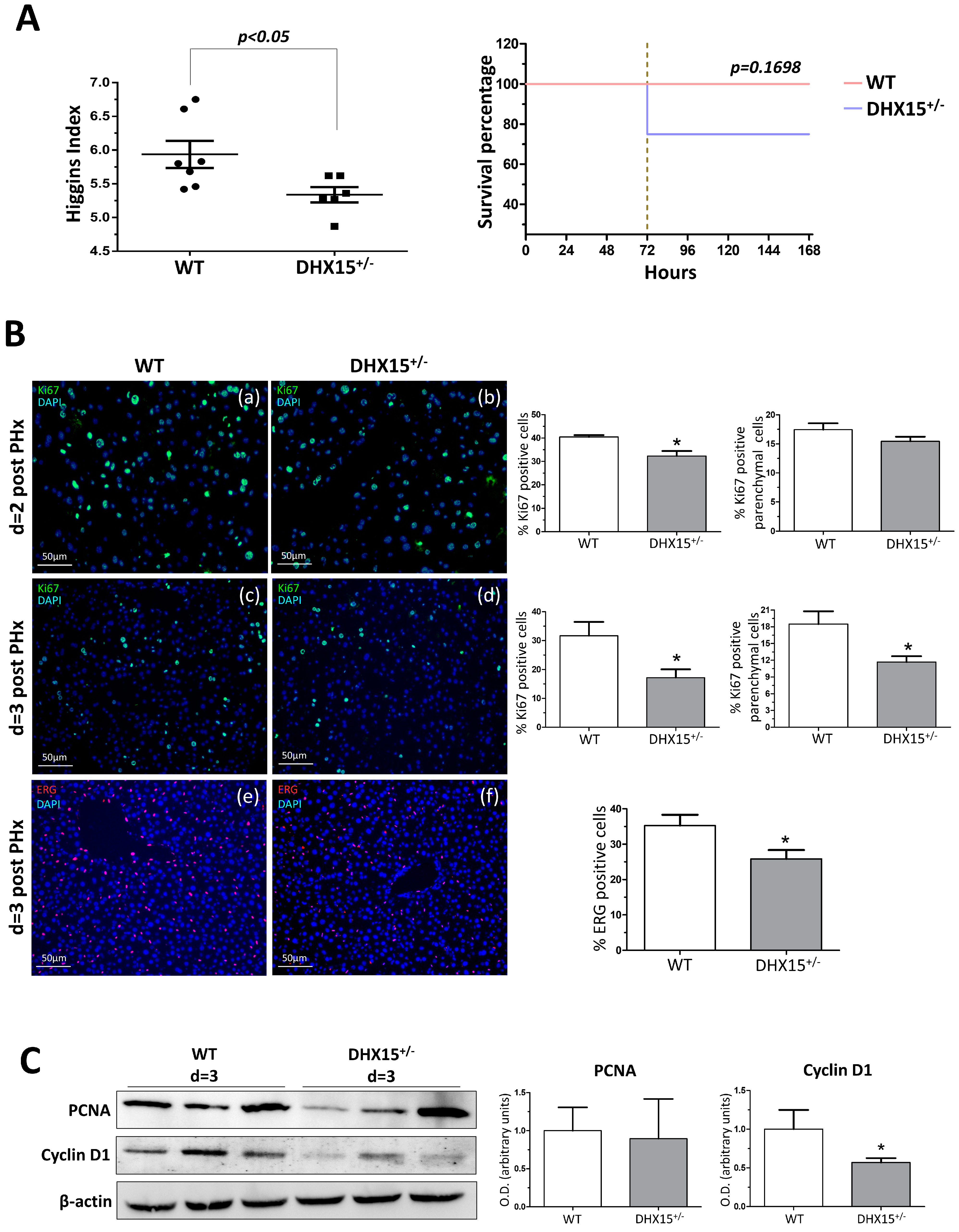Ijms 25 03716 g003 Ijms 25 03716 g003