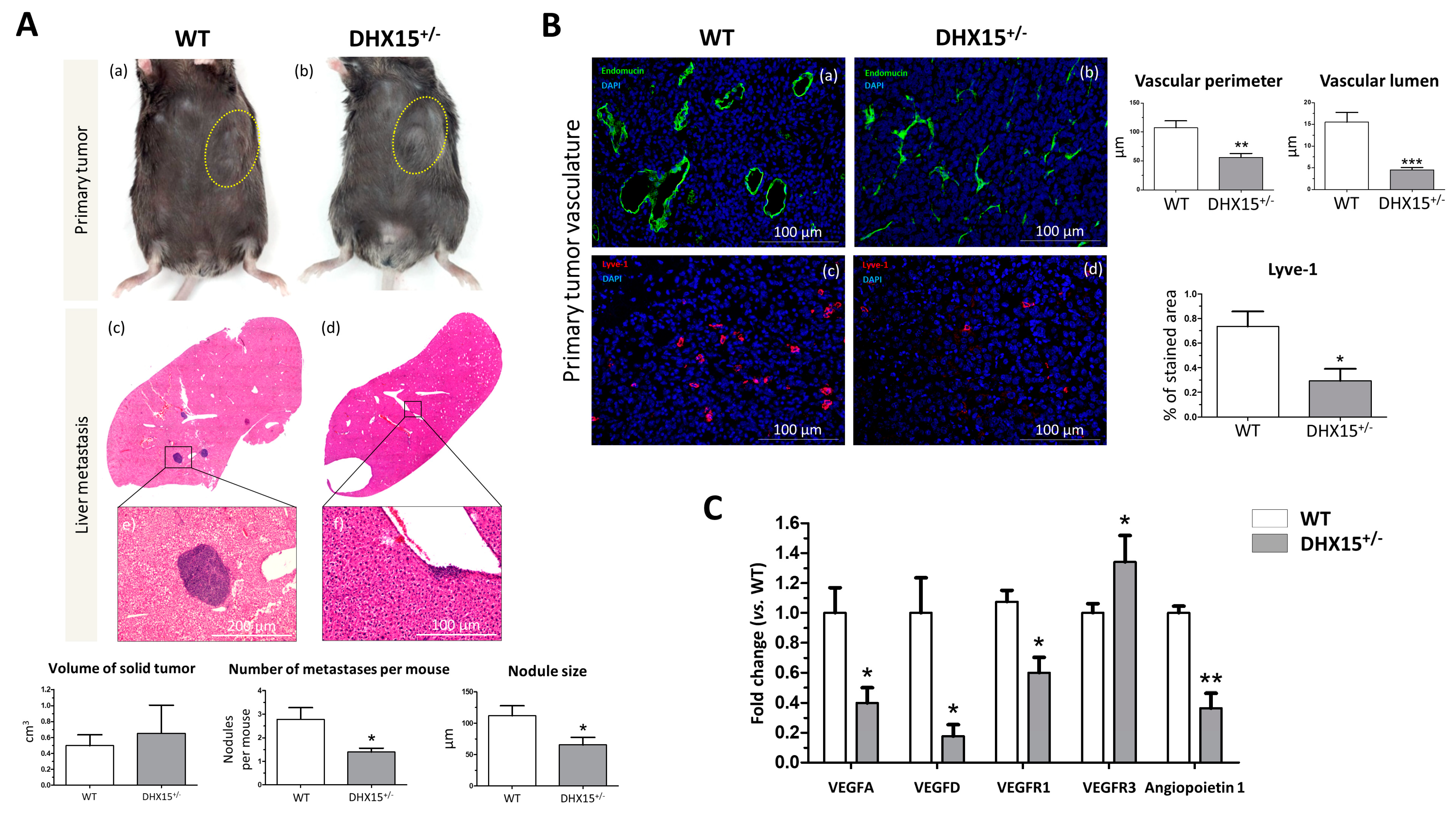 Ijms 25 03716 g005 Ijms 25 03716 g005