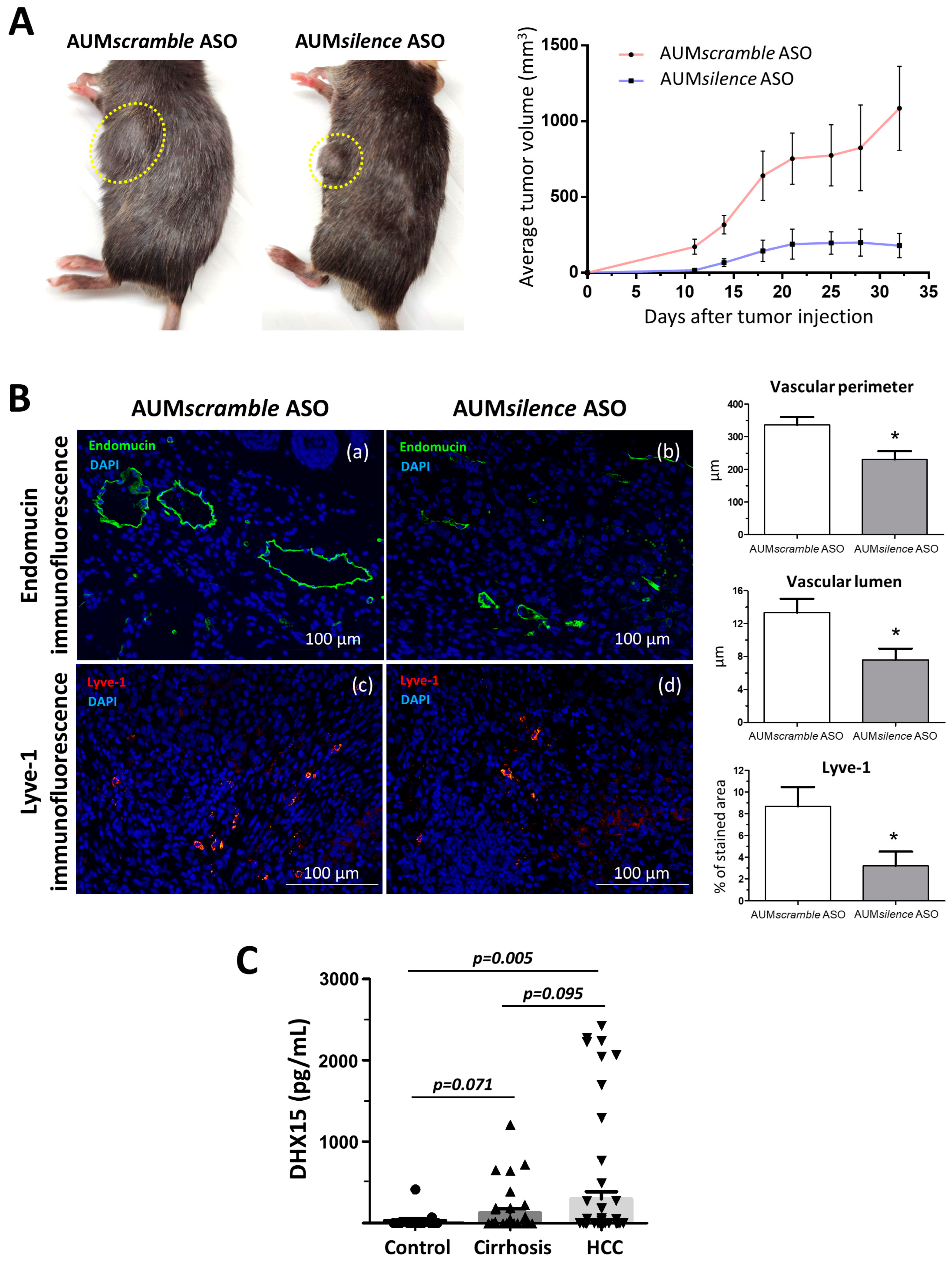 Ijms 25 03716 g006 Ijms 25 03716 g006