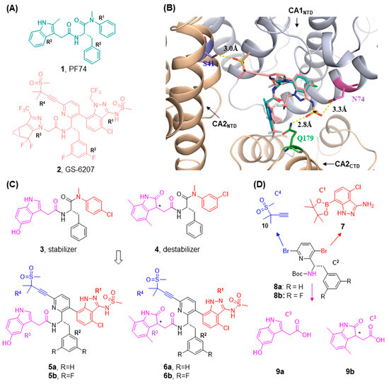 Design and Synthesis of New GS-6207 Subtypes for Targeting HIV-1