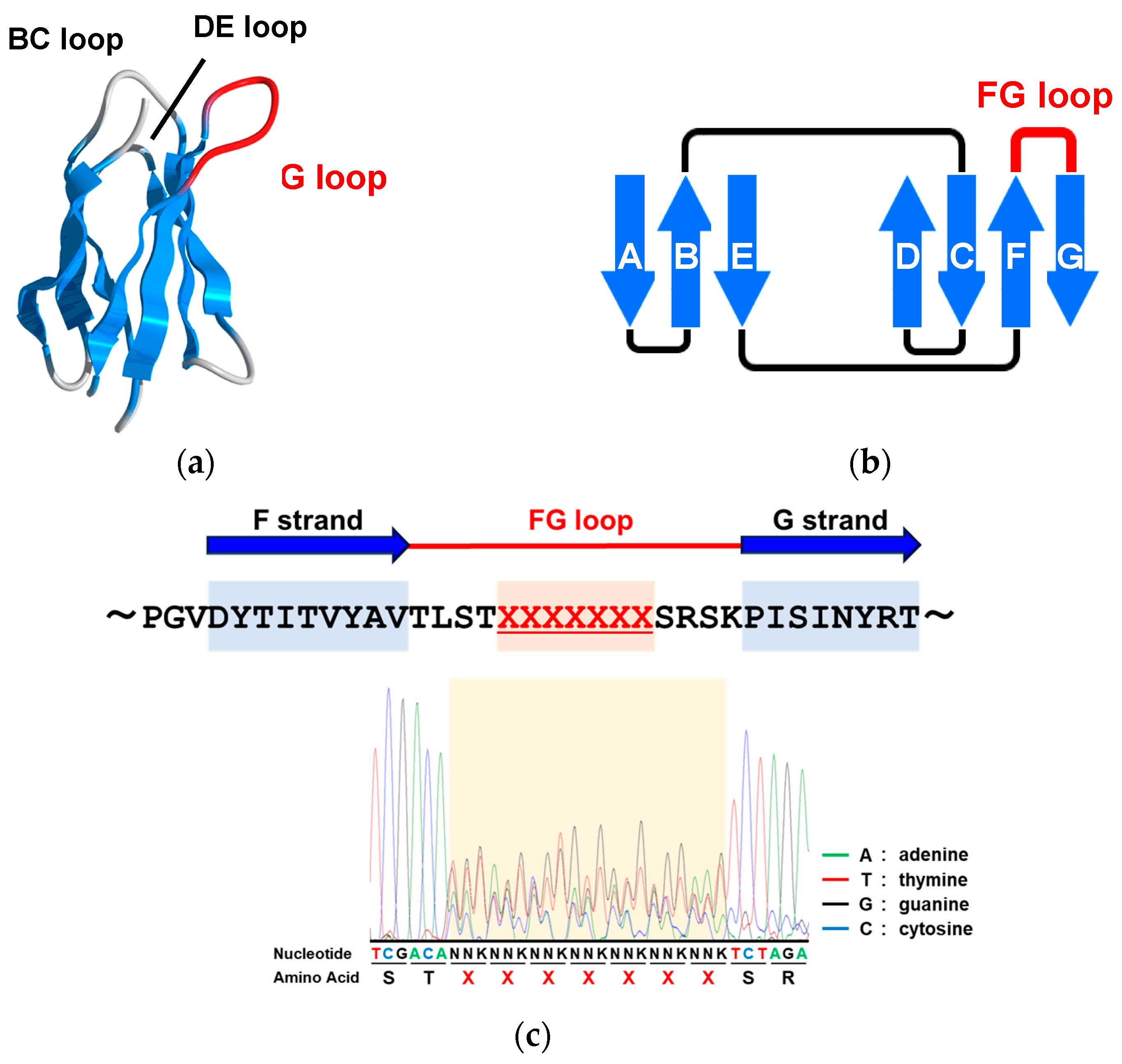 Ijms 25 03737 g001 Ijms 25 03737 g001