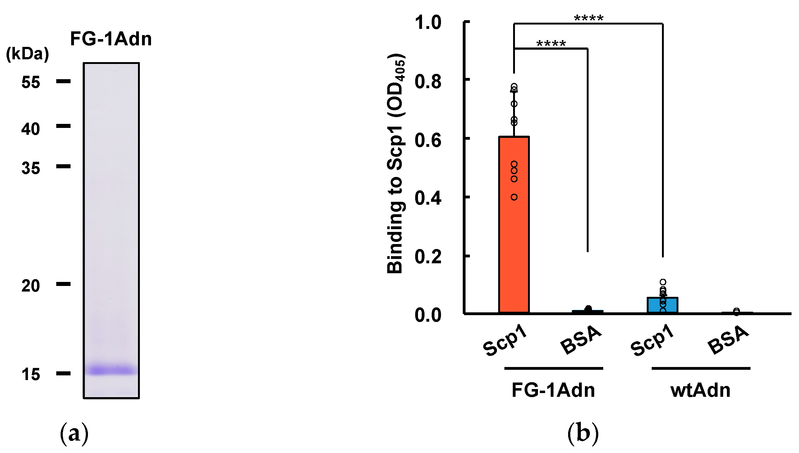 Ijms 25 03737 g003a Ijms 25 03737 g003a