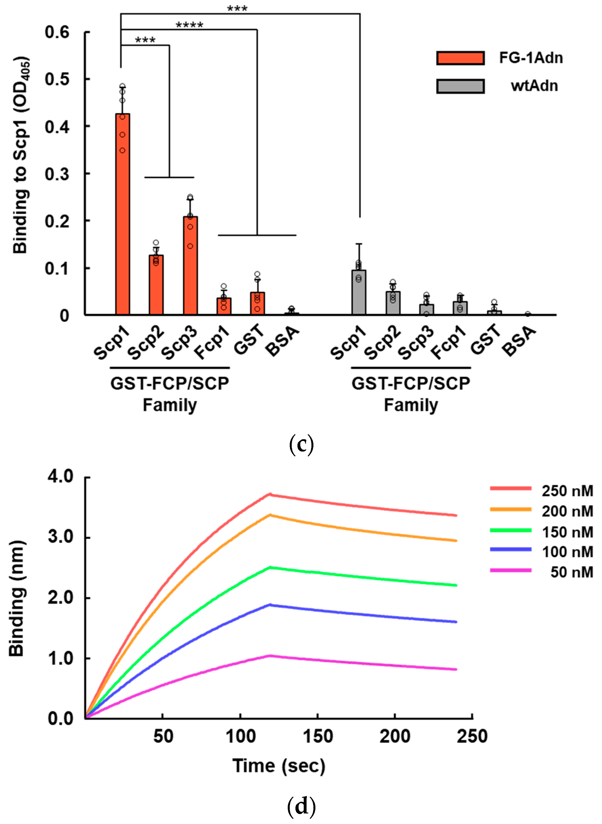 Ijms 25 03737 g003b Ijms 25 03737 g003b