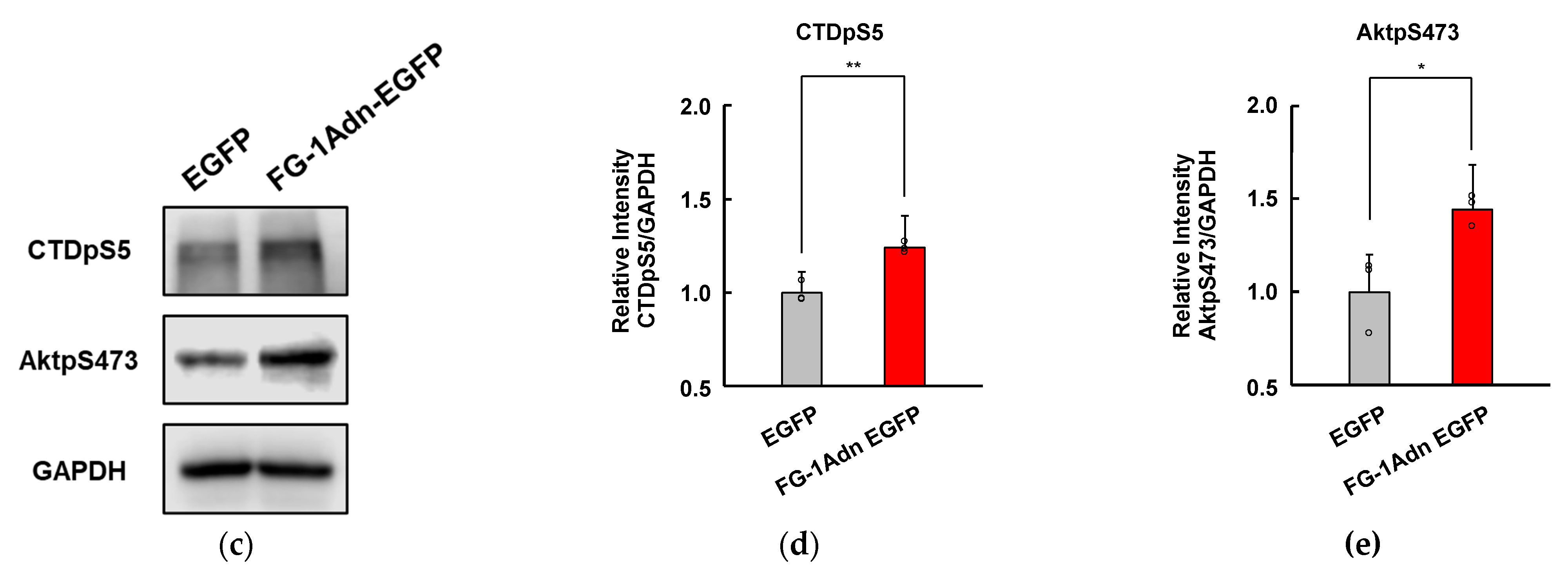 Ijms 25 03737 g005b Ijms 25 03737 g005b
