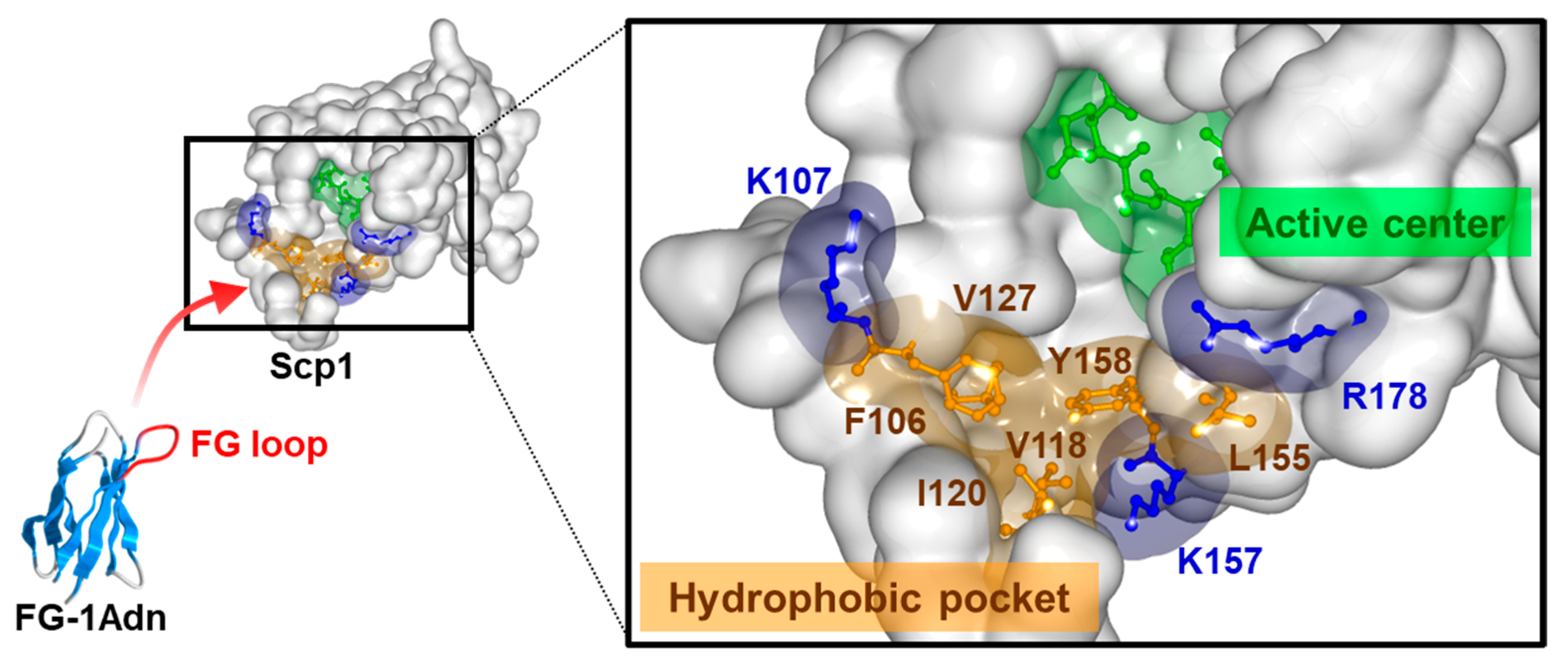 Ijms 25 03737 g006 Ijms 25 03737 g006
