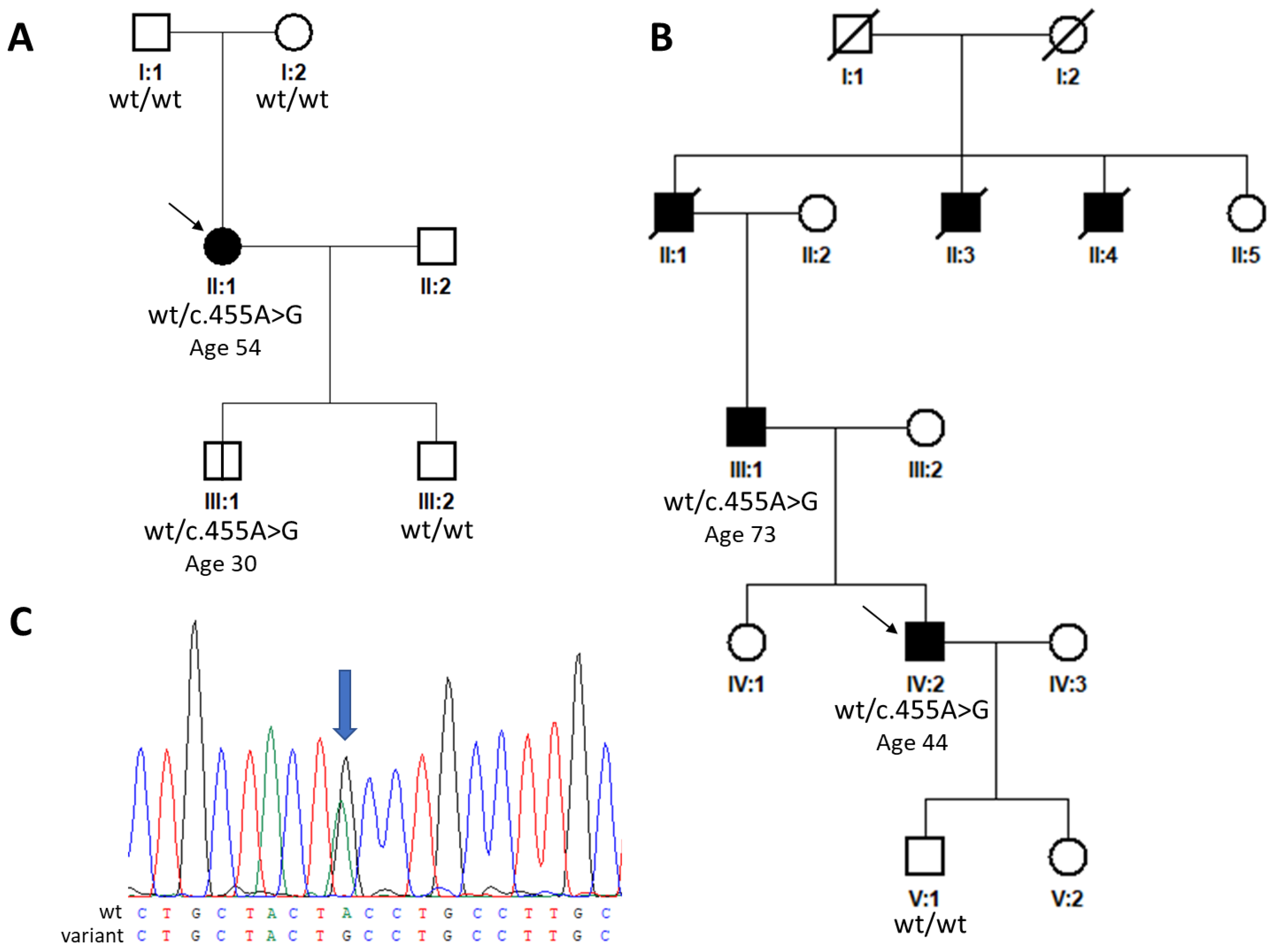 Ijms 25 03744 g001 Ijms 25 03744 g001