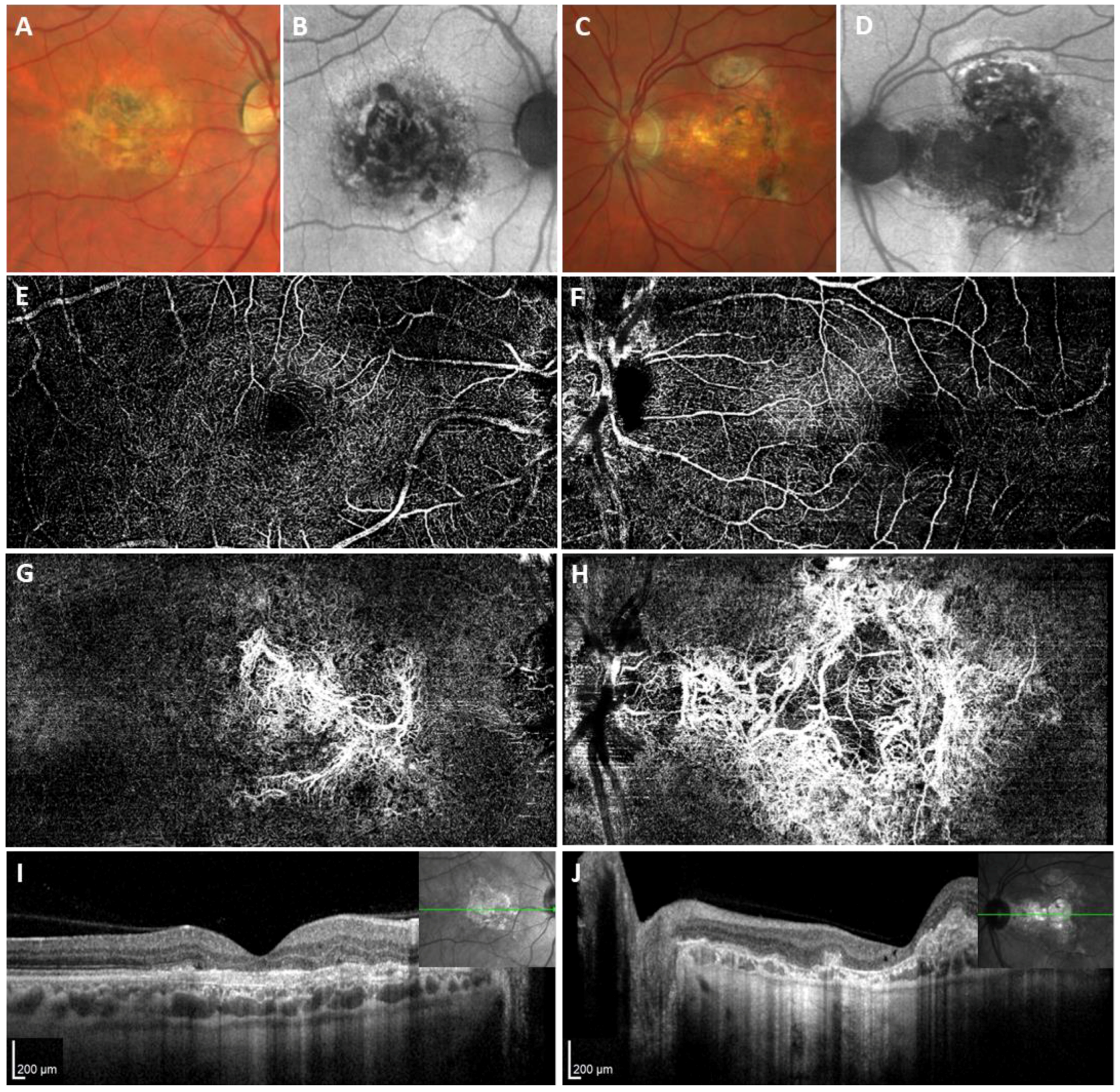 Ijms 25 03744 g003 Ijms 25 03744 g003