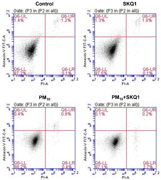 LLサイズ 美品】PERSON'S FORMAL STYLE セットアップ 大きいサイズ