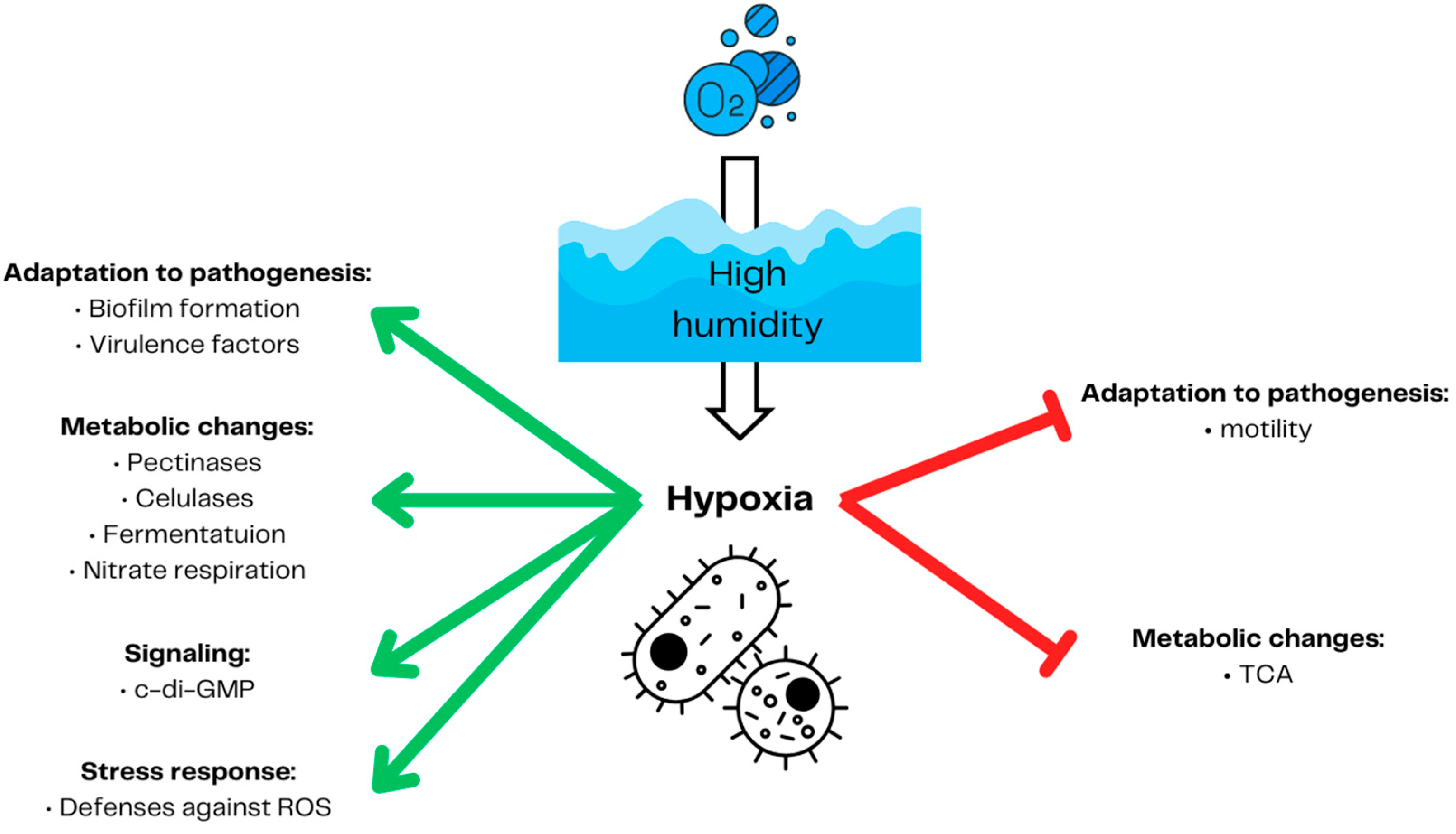 Ijms 25 03757 g003 Ijms 25 03757 g003