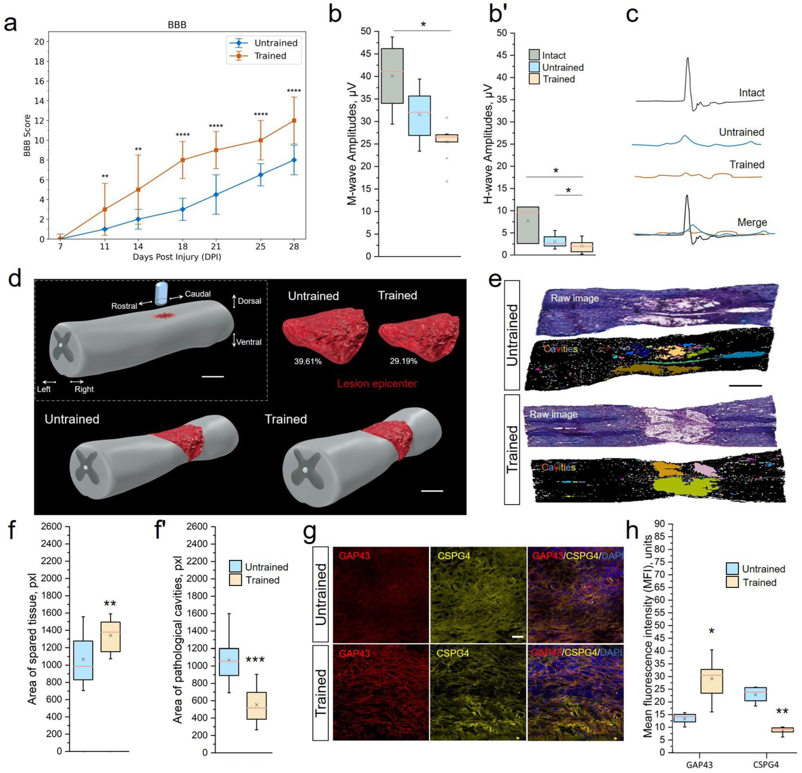 Ijms 25 03772 g001 Ijms 25 03772 g001
