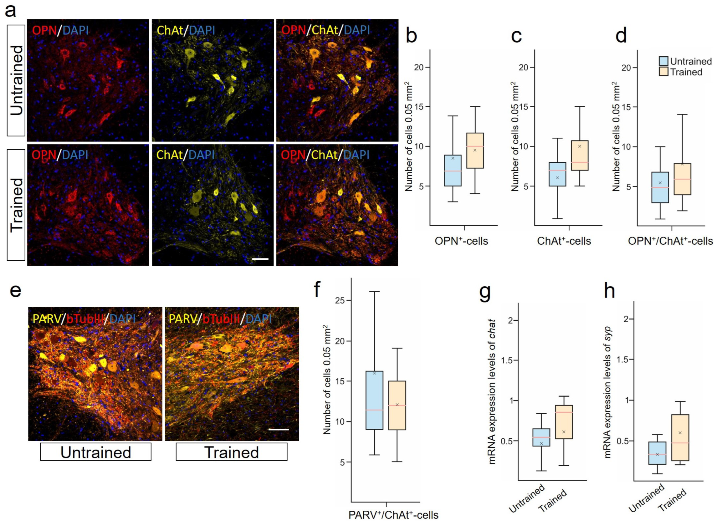 Ijms 25 03772 g002 Ijms 25 03772 g002
