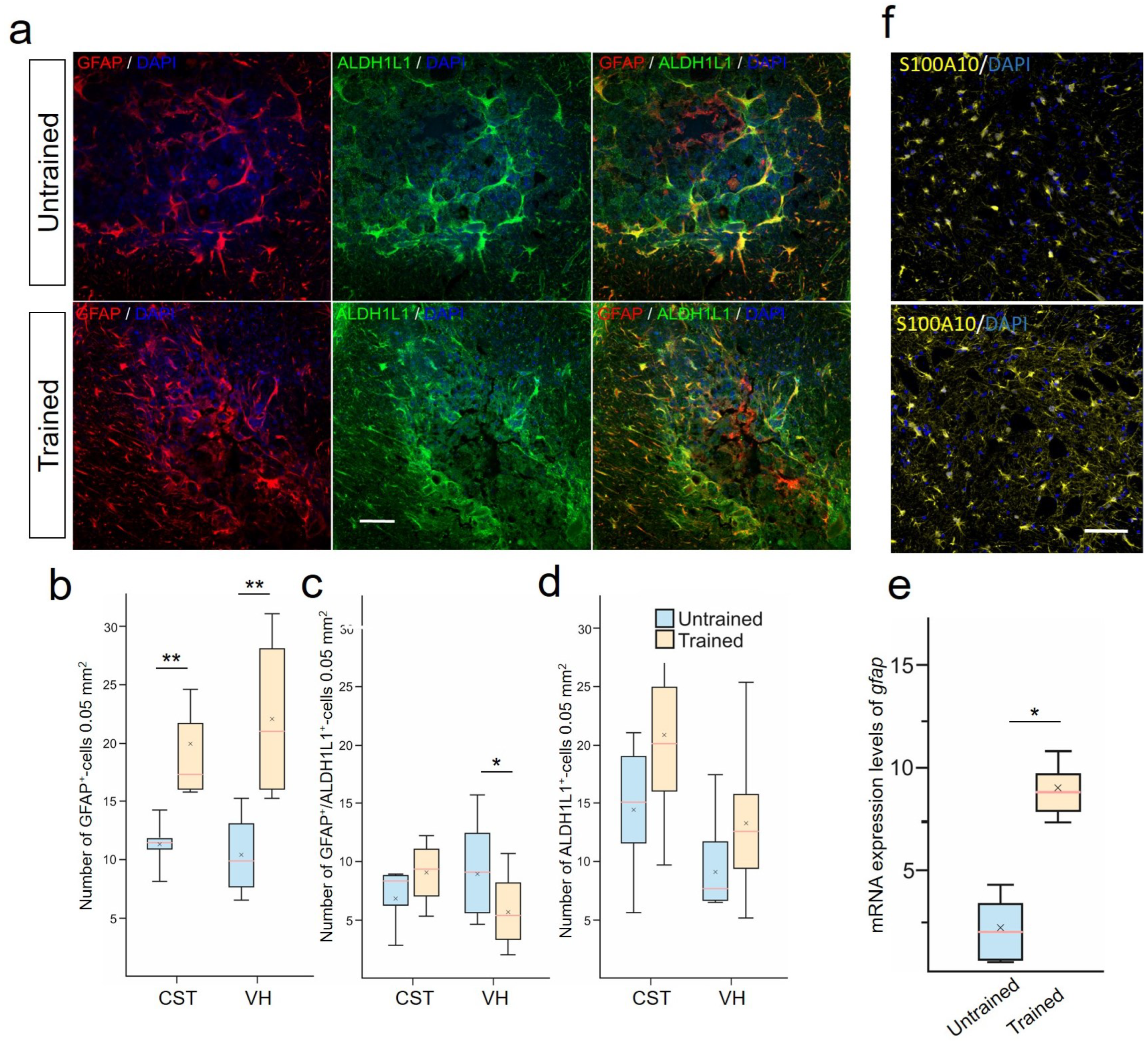 Ijms 25 03772 g003 Ijms 25 03772 g003