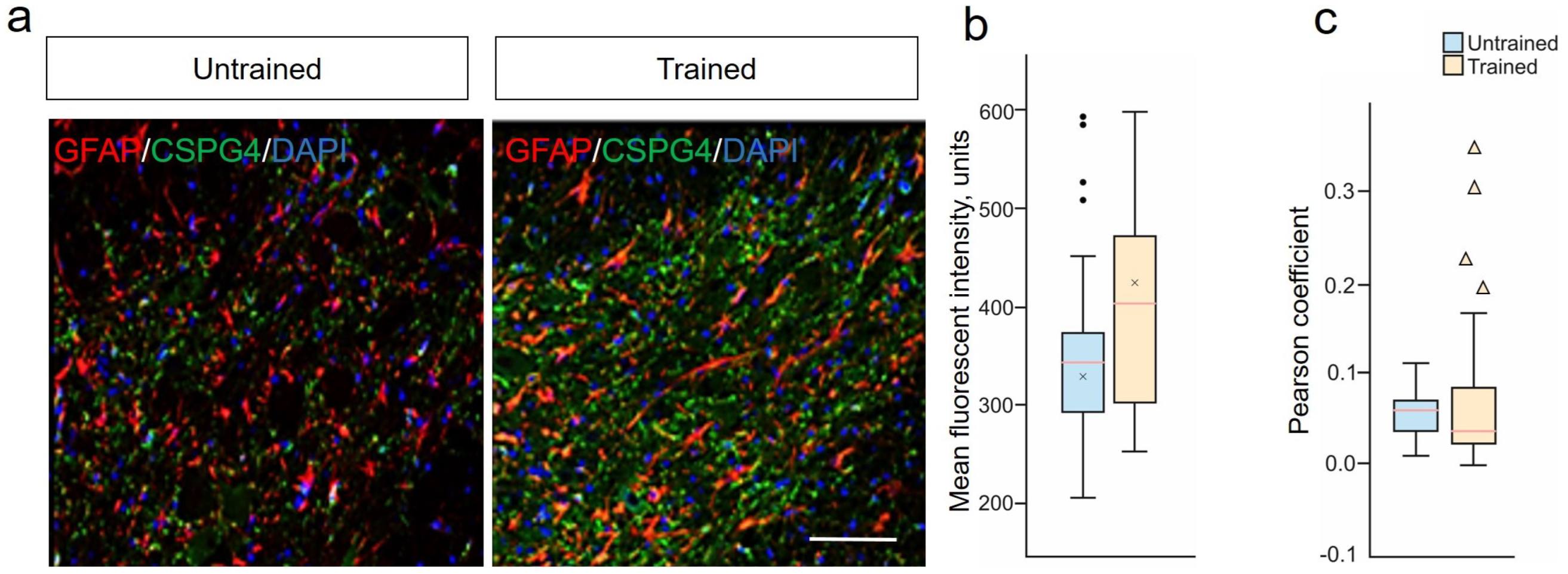 Ijms 25 03772 g004 Ijms 25 03772 g004