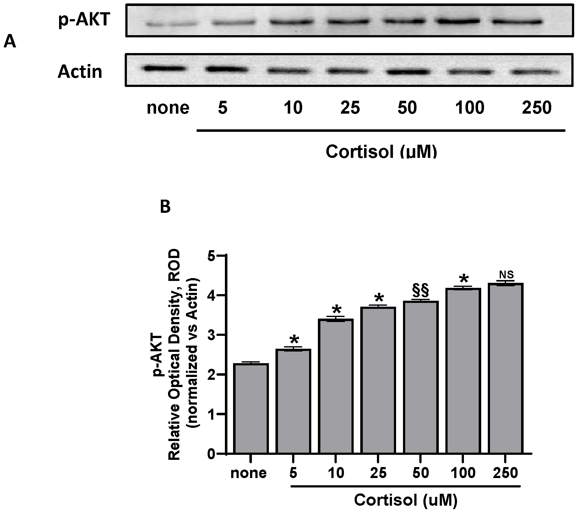 Ijms 25 03776 g006 Ijms 25 03776 g006