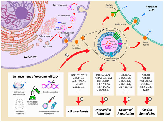 Stem Cell Therapy against Ischemic Heart Disease