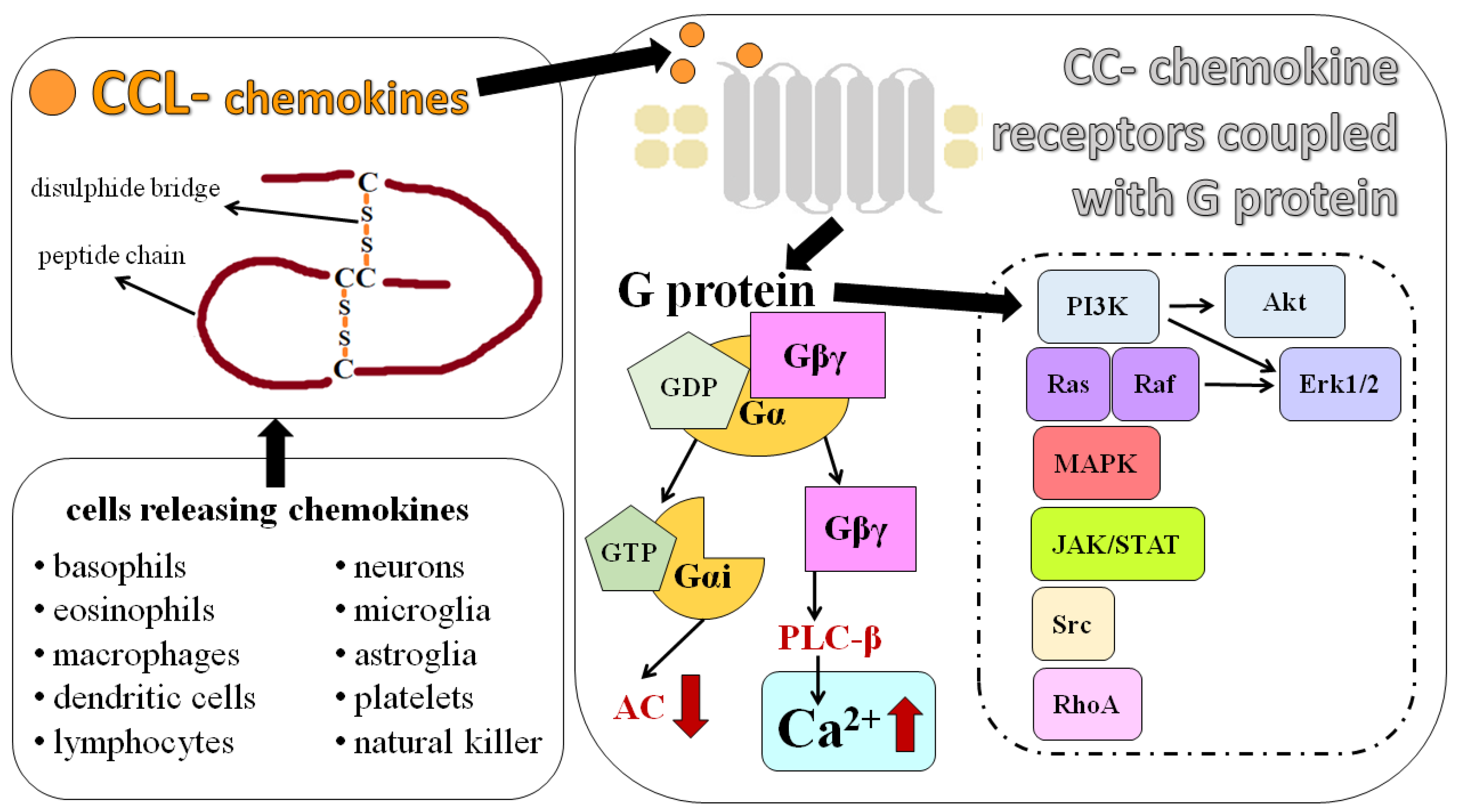 Ijms 25 03788 sch001 Ijms 25 03788 sch001