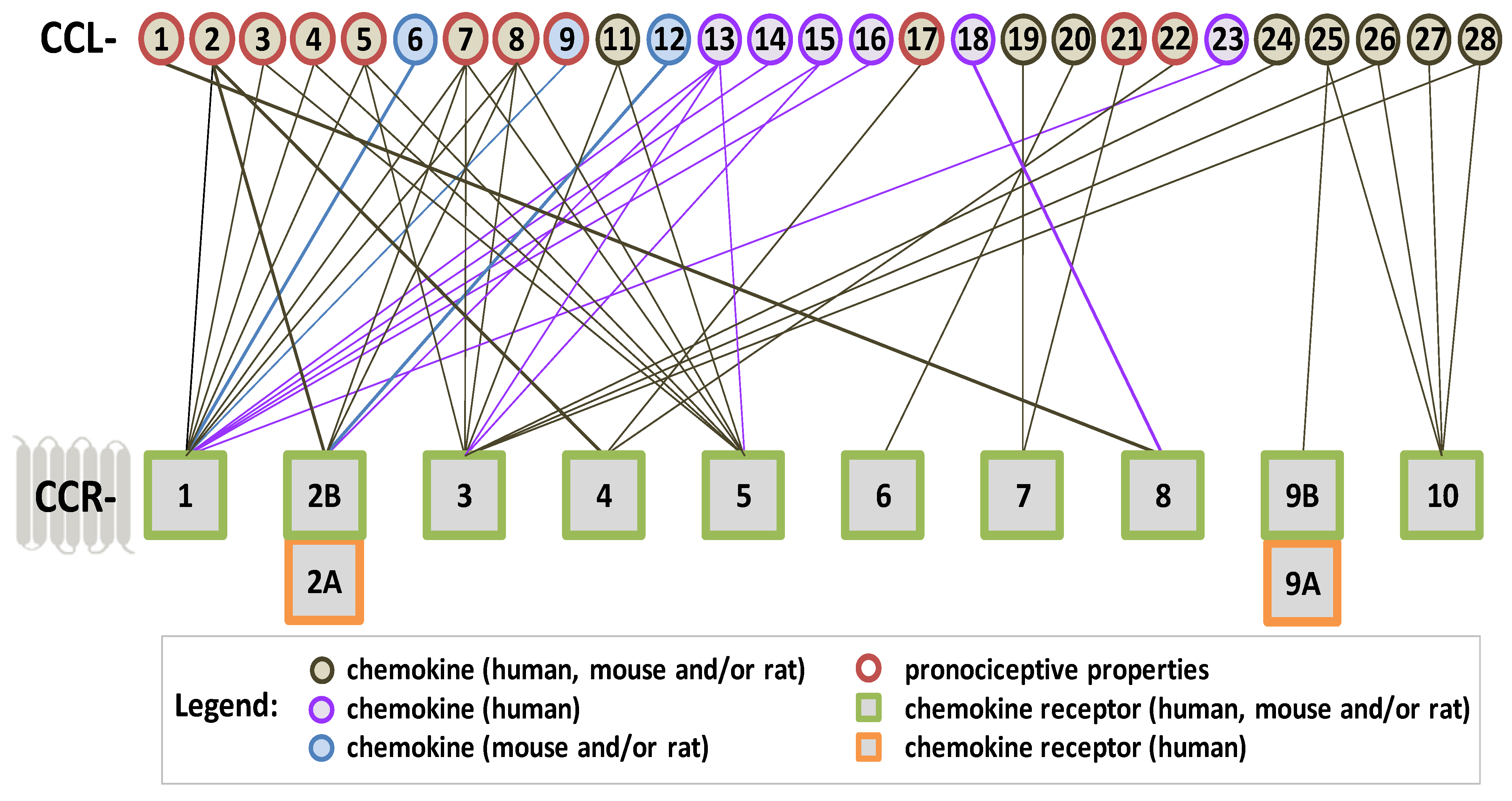 Ijms 25 03788 sch002 Ijms 25 03788 sch002