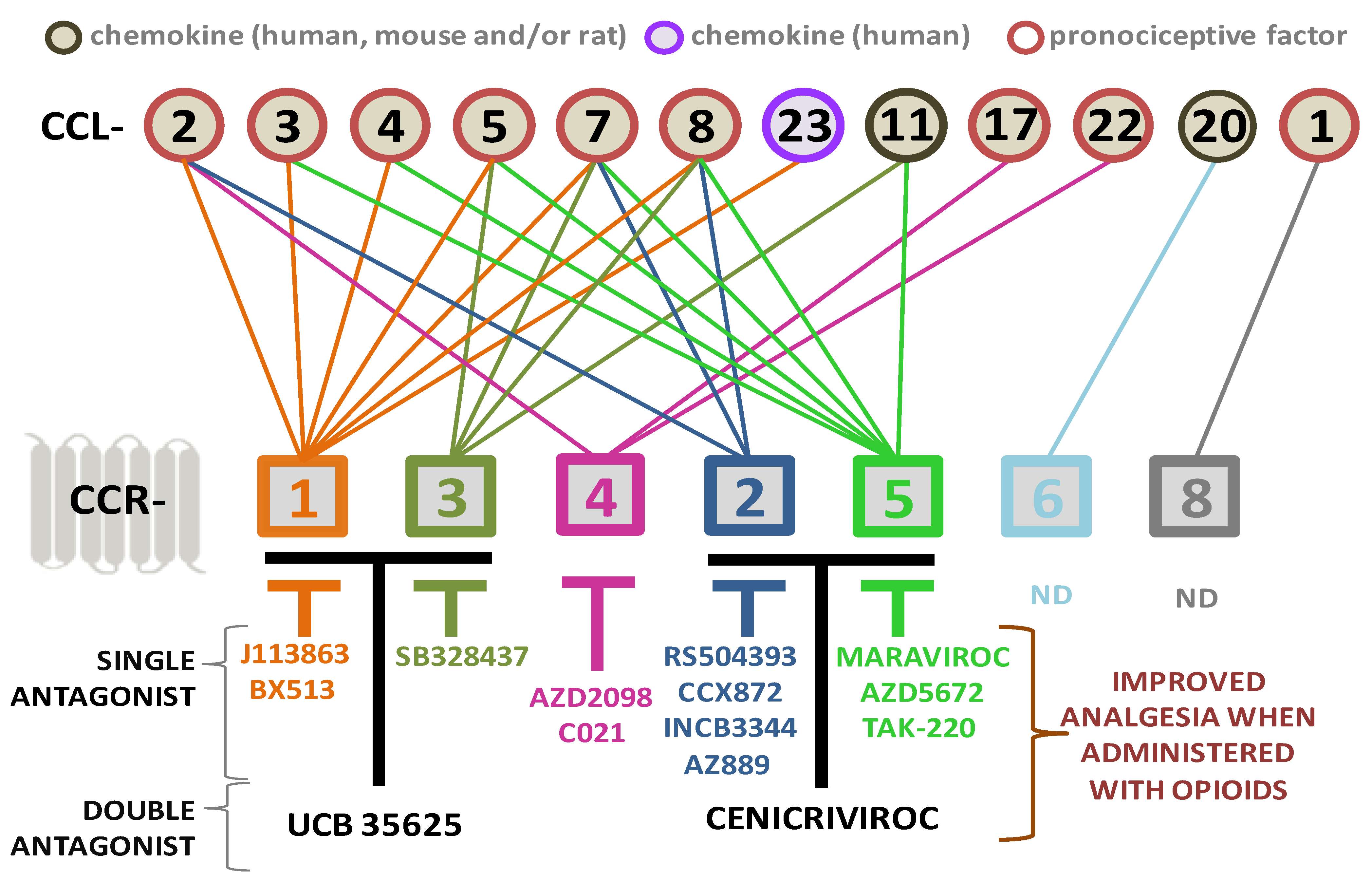 Ijms 25 03788 sch003 Ijms 25 03788 sch003