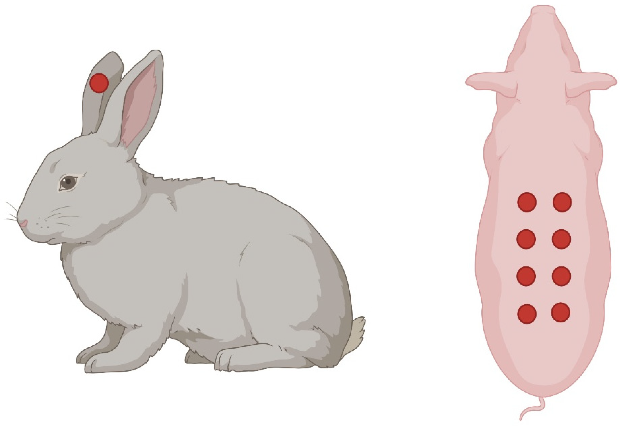 Ijms 25 03790 g005 Ijms 25 03790 g005